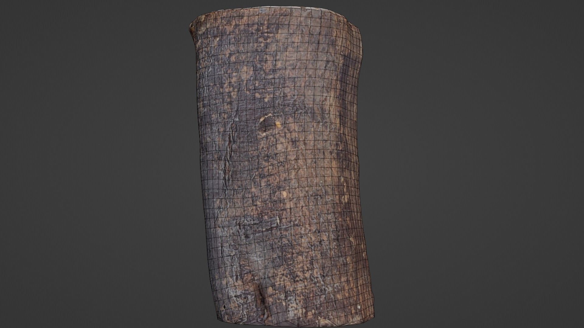 Realisitc log Low-poly 3D model_2