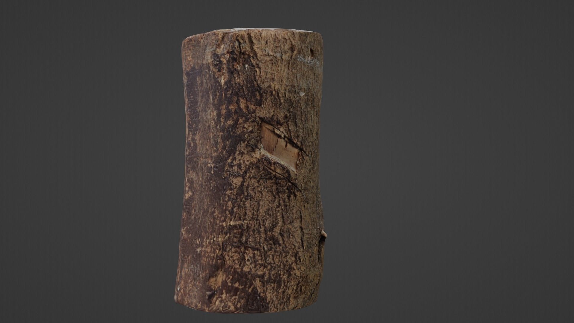 Realisitc log Low-poly 3D model_5