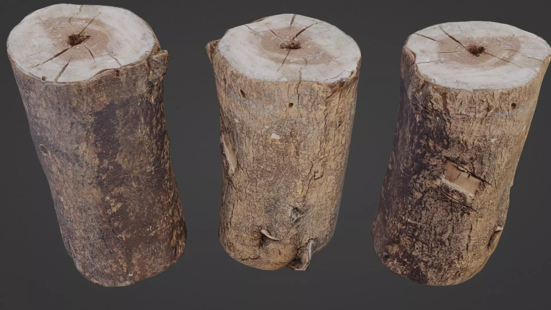 Realisitc log Low-poly 3D model_0