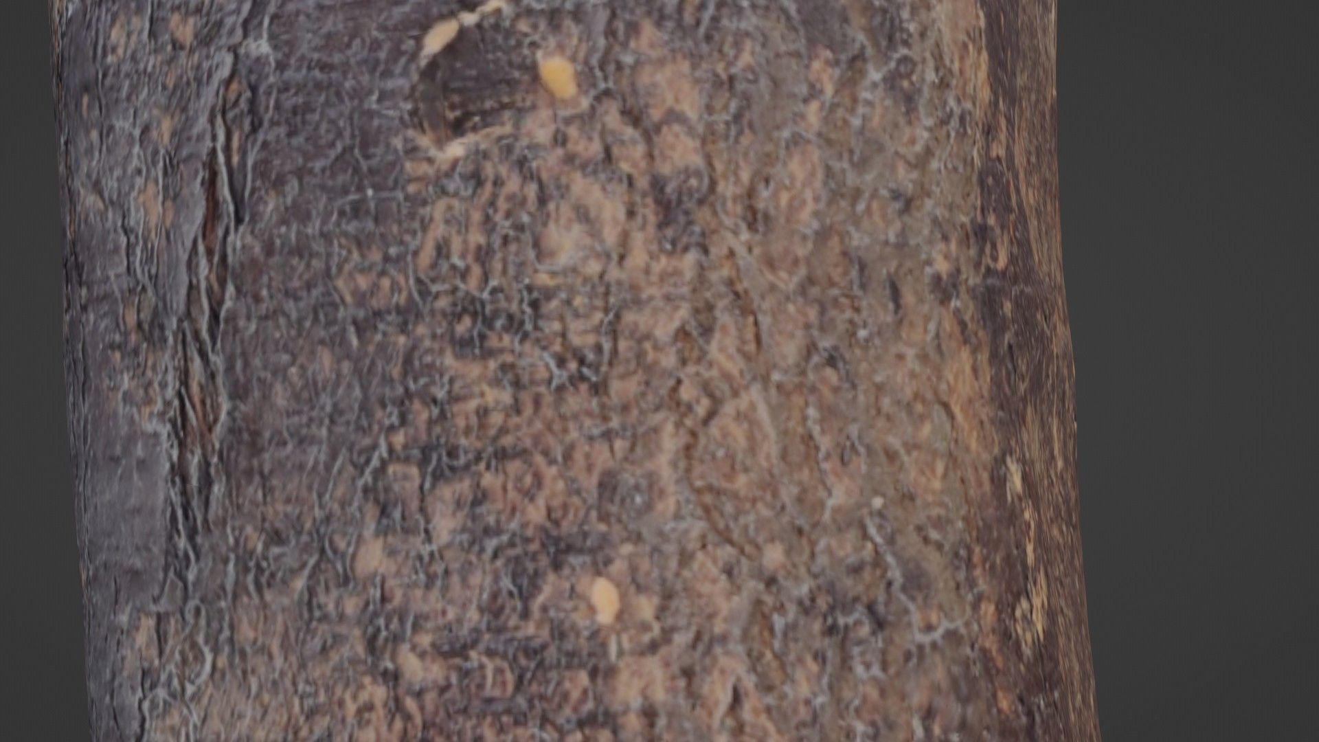 Realisitc log Low-poly 3D model_4