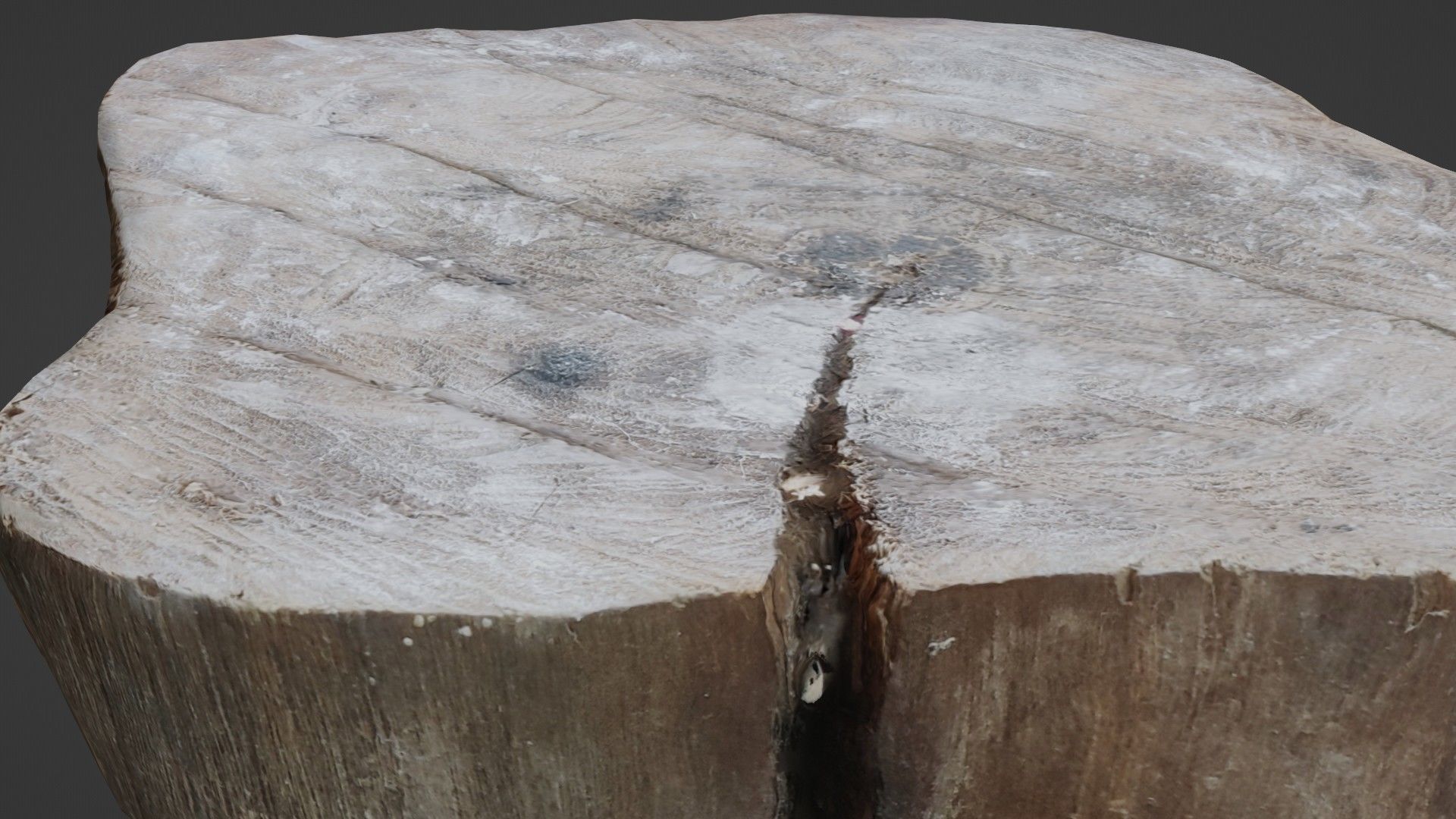 Meat cutter Low-poly 3D model_7