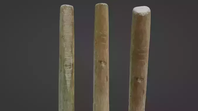 Wooden Stick