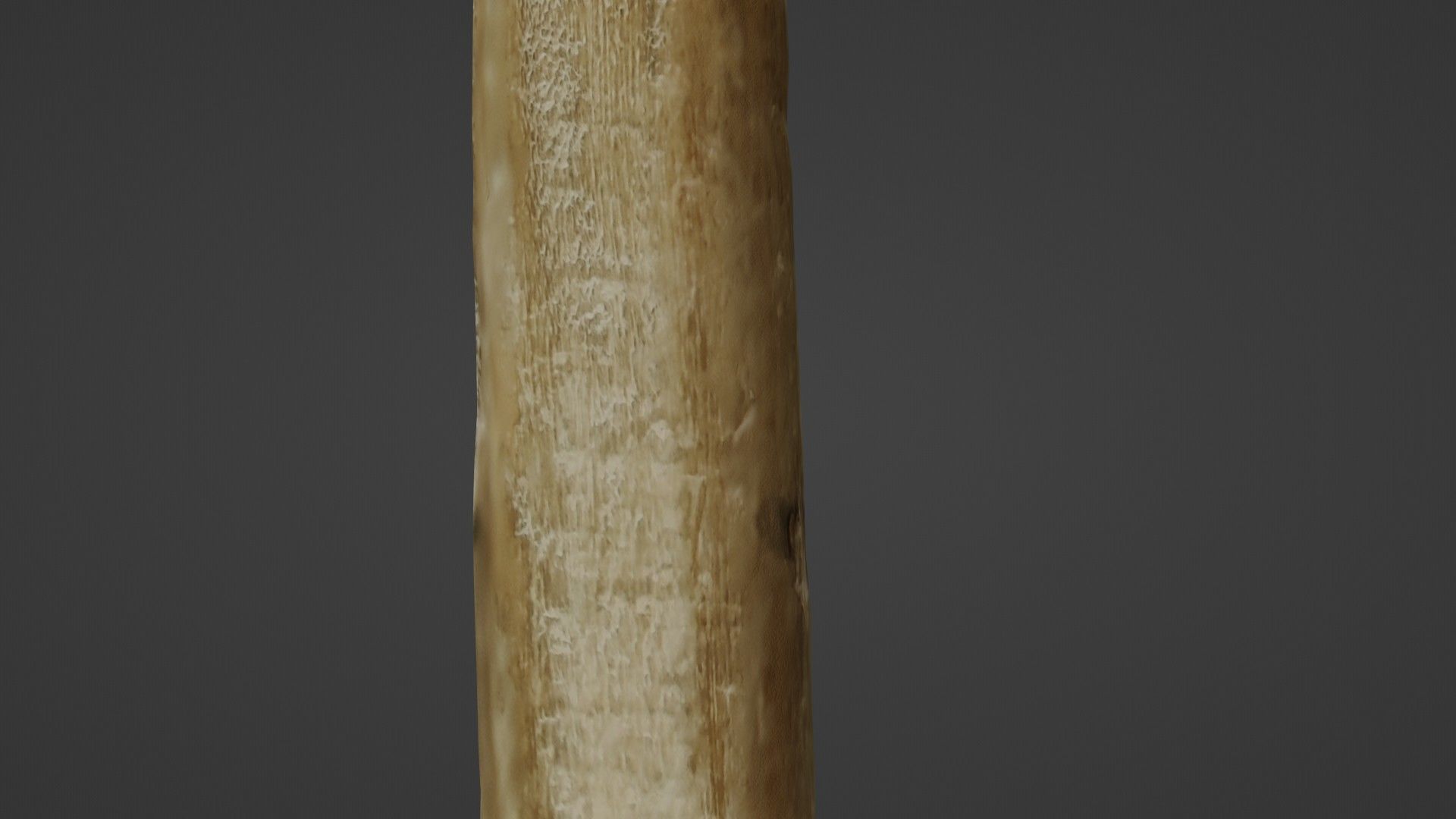 Wooden Stick Low-poly 3D model_4
