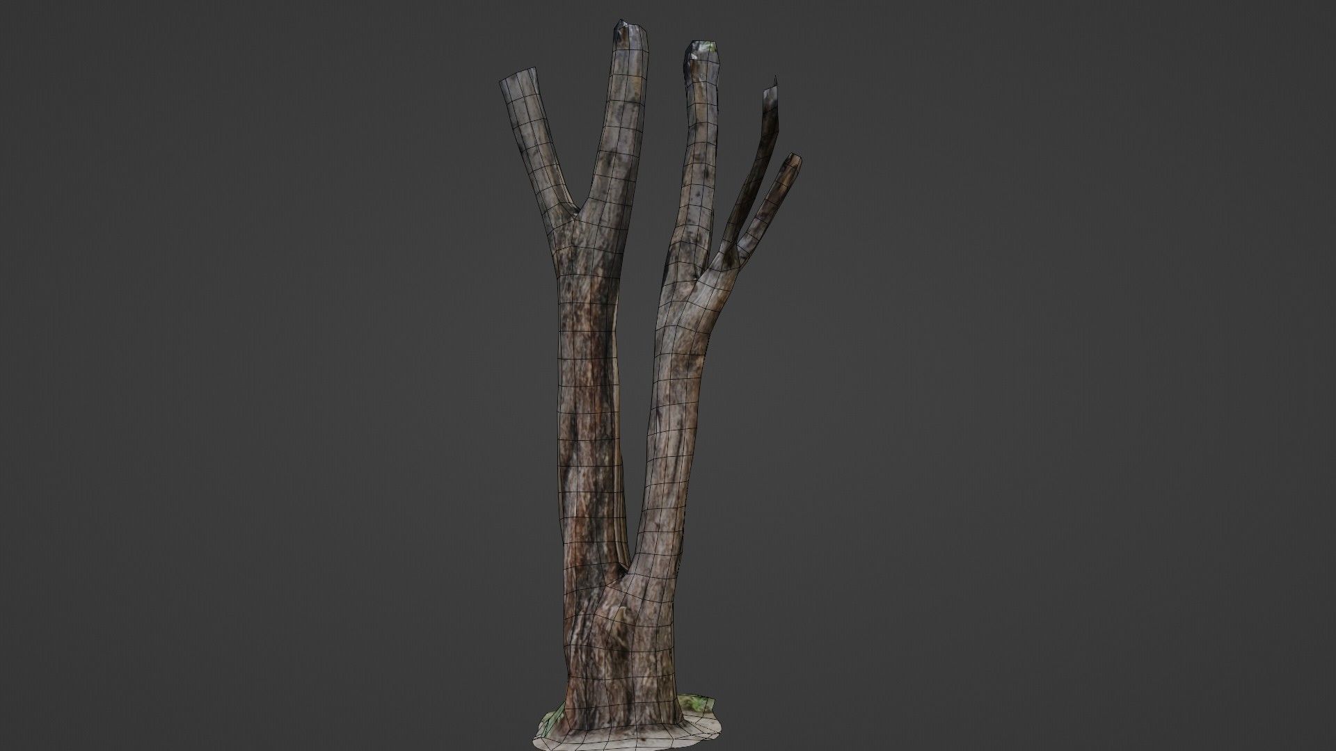 Tree trunks Low-poly 3D model_2