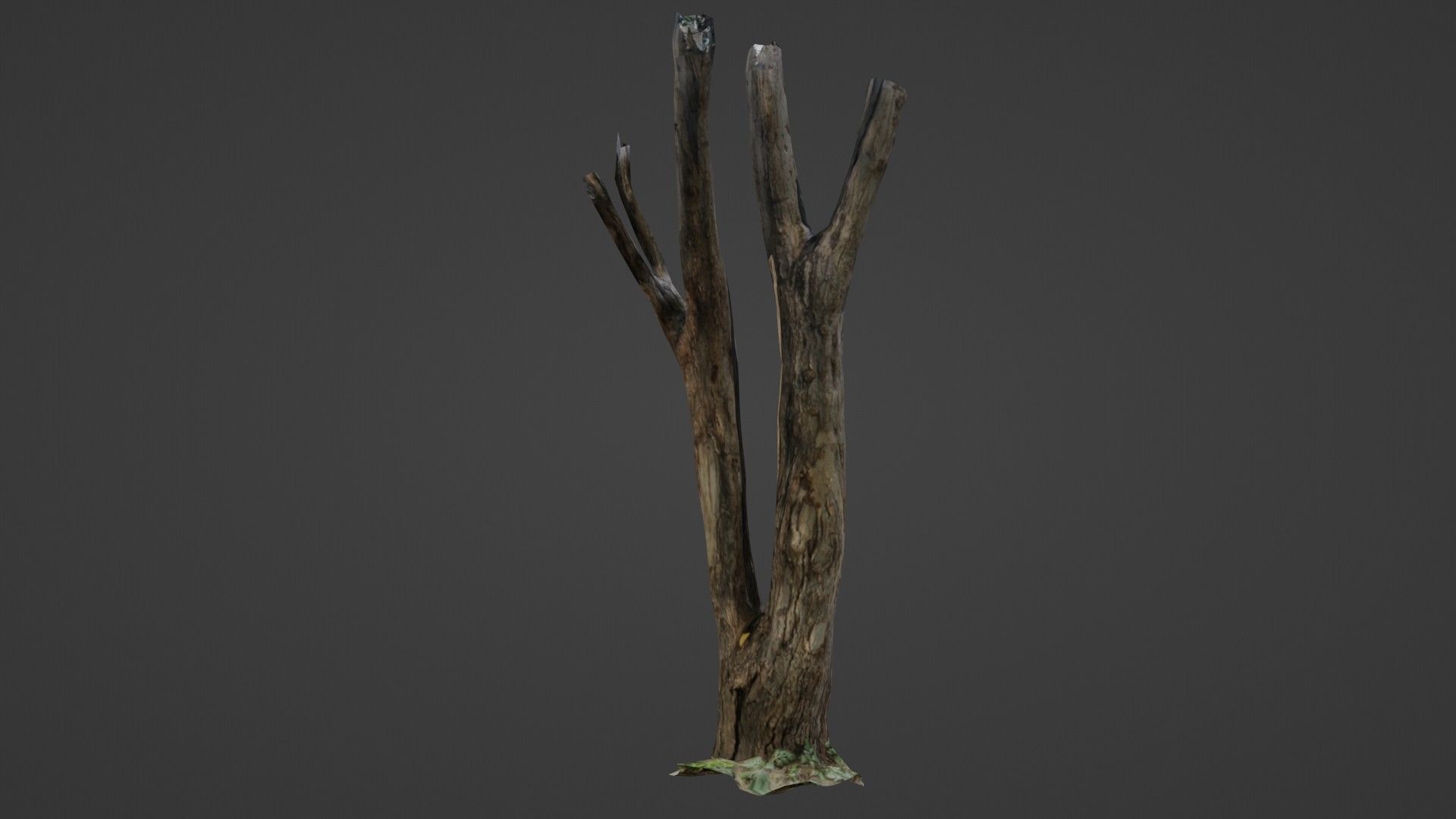 Tree trunks Low-poly 3D model_5