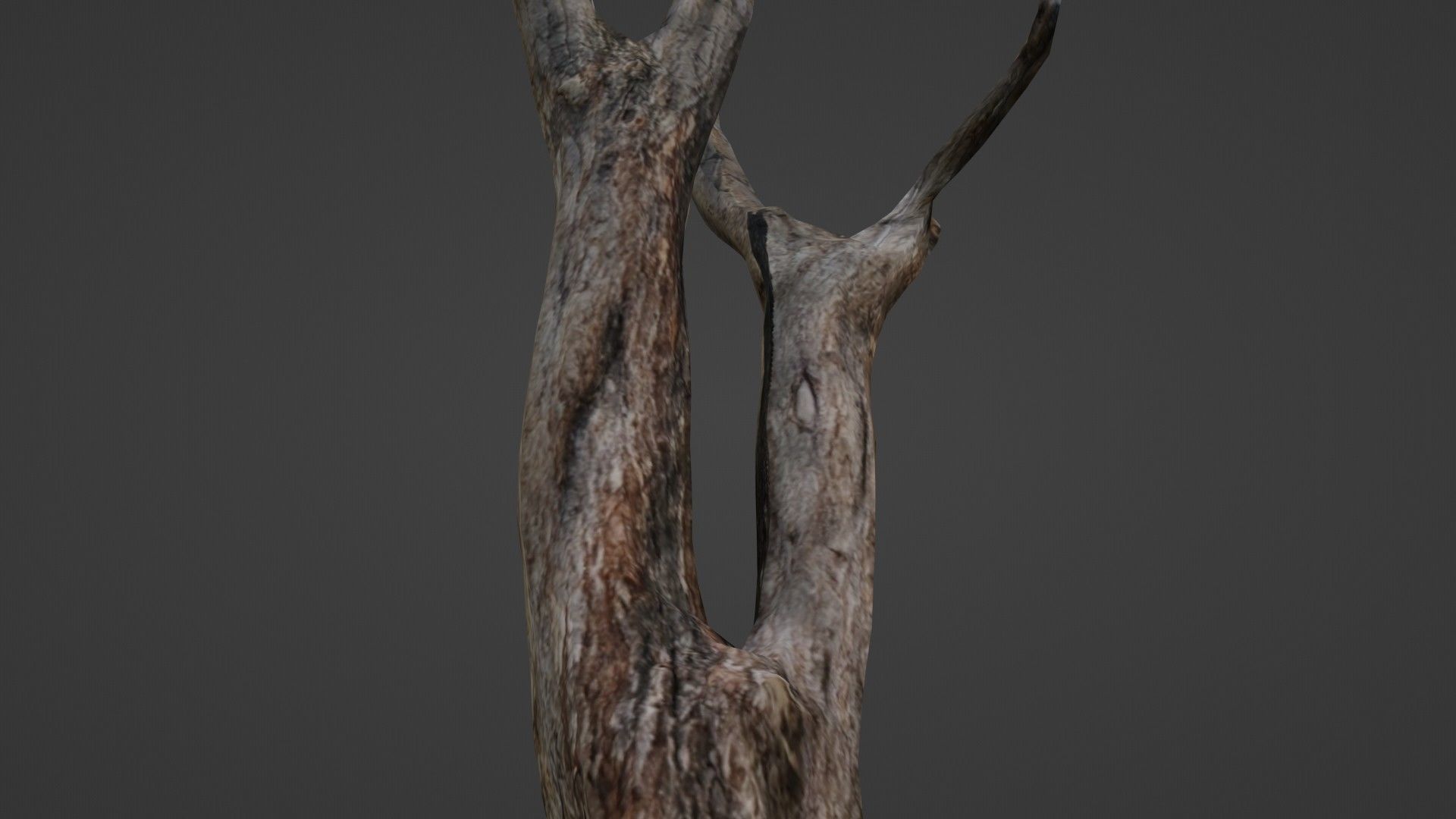 Tree trunks Low-poly 3D model_7