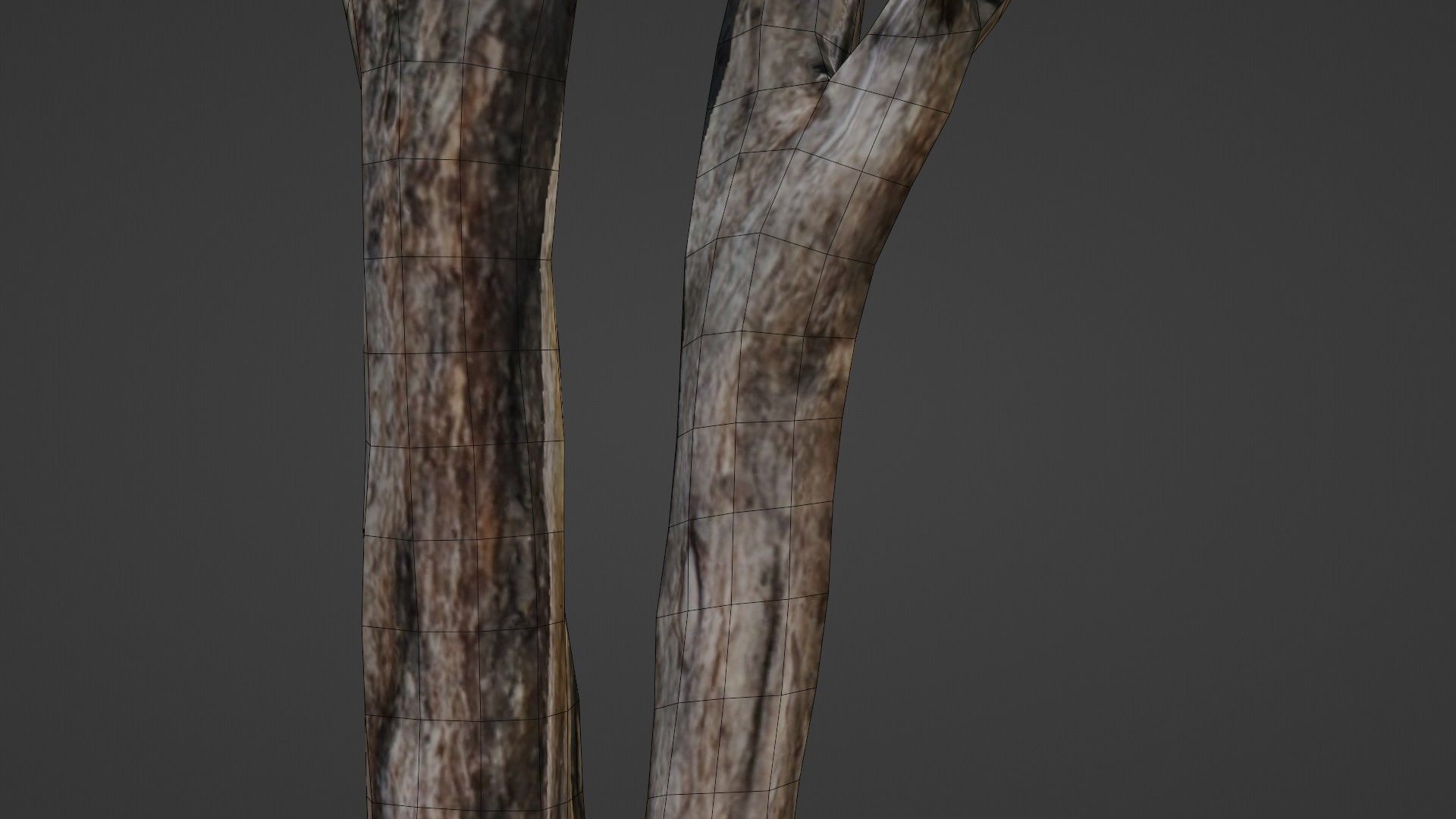 Tree trunks Low-poly 3D model_3
