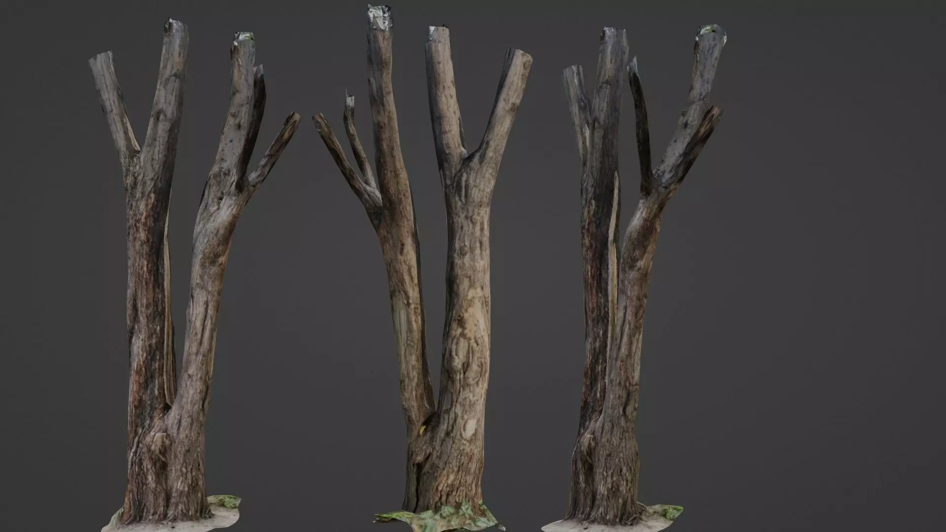 Tree trunks Low-poly 3D model_0