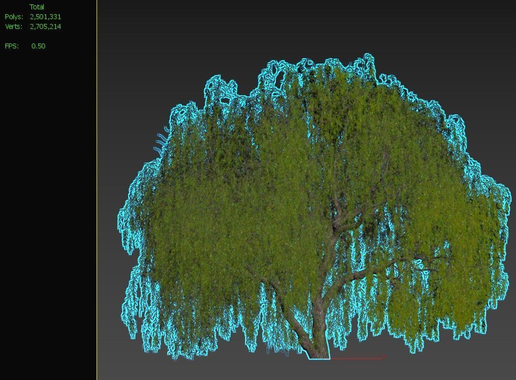 Weeping Willow 05 3D model_5