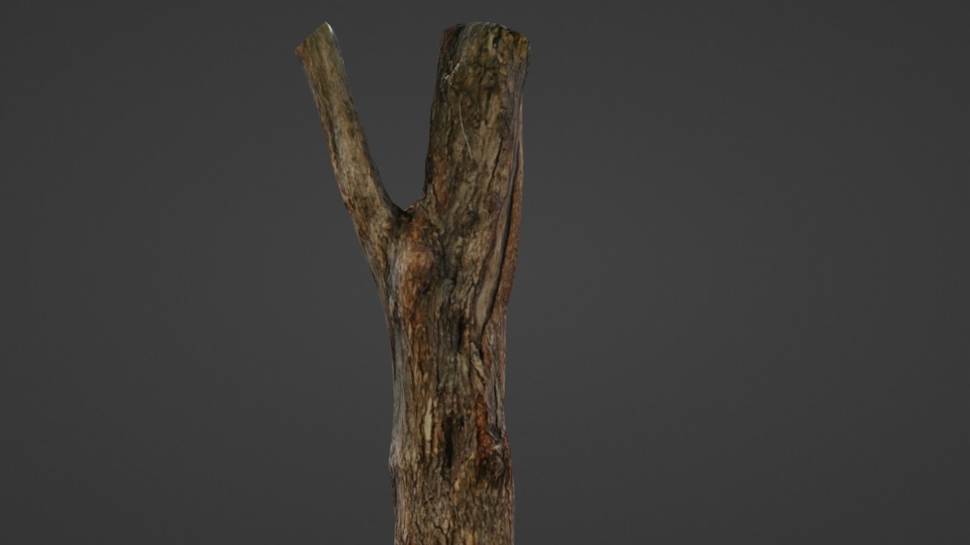 Tree trunk Low-poly 3D model_5