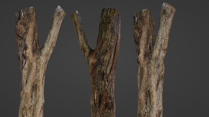 Tree trunk Low-poly 3D model