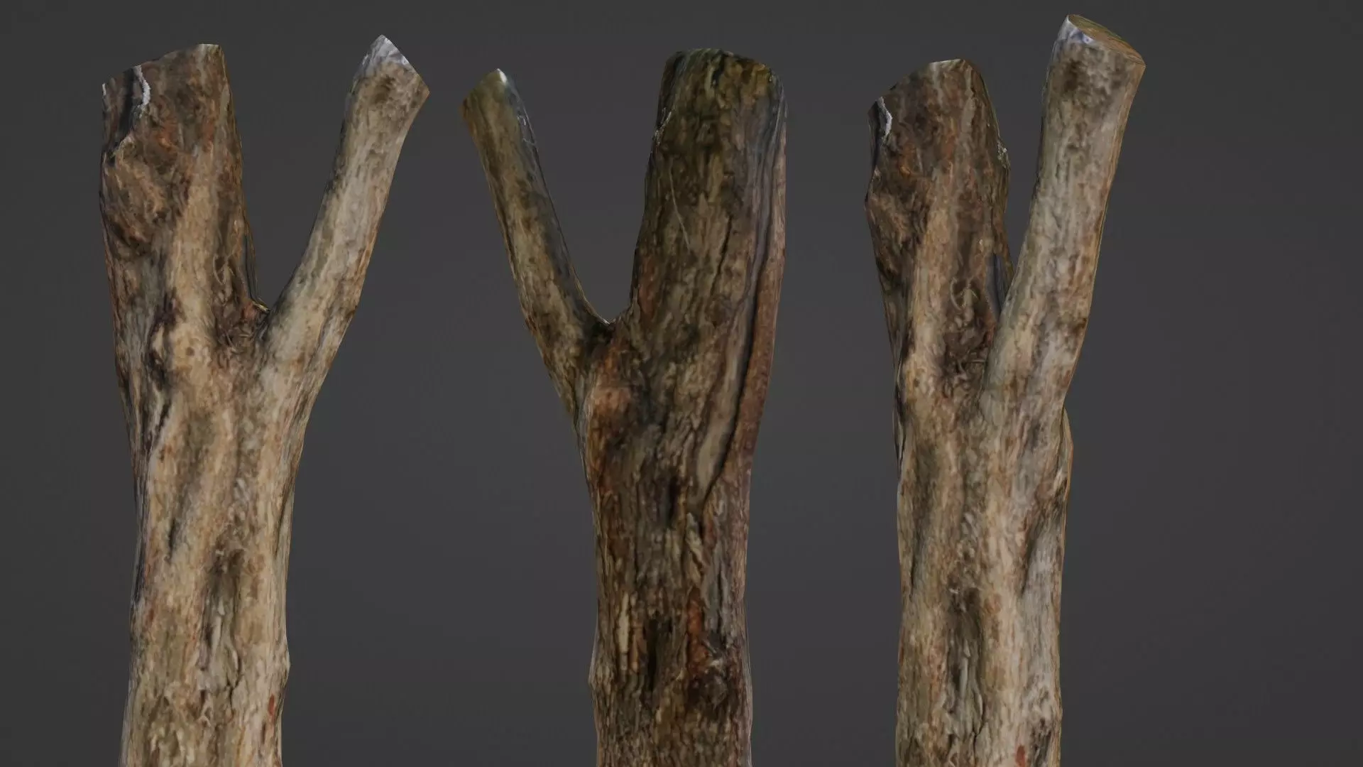 Tree trunk Low-poly 3D model_0