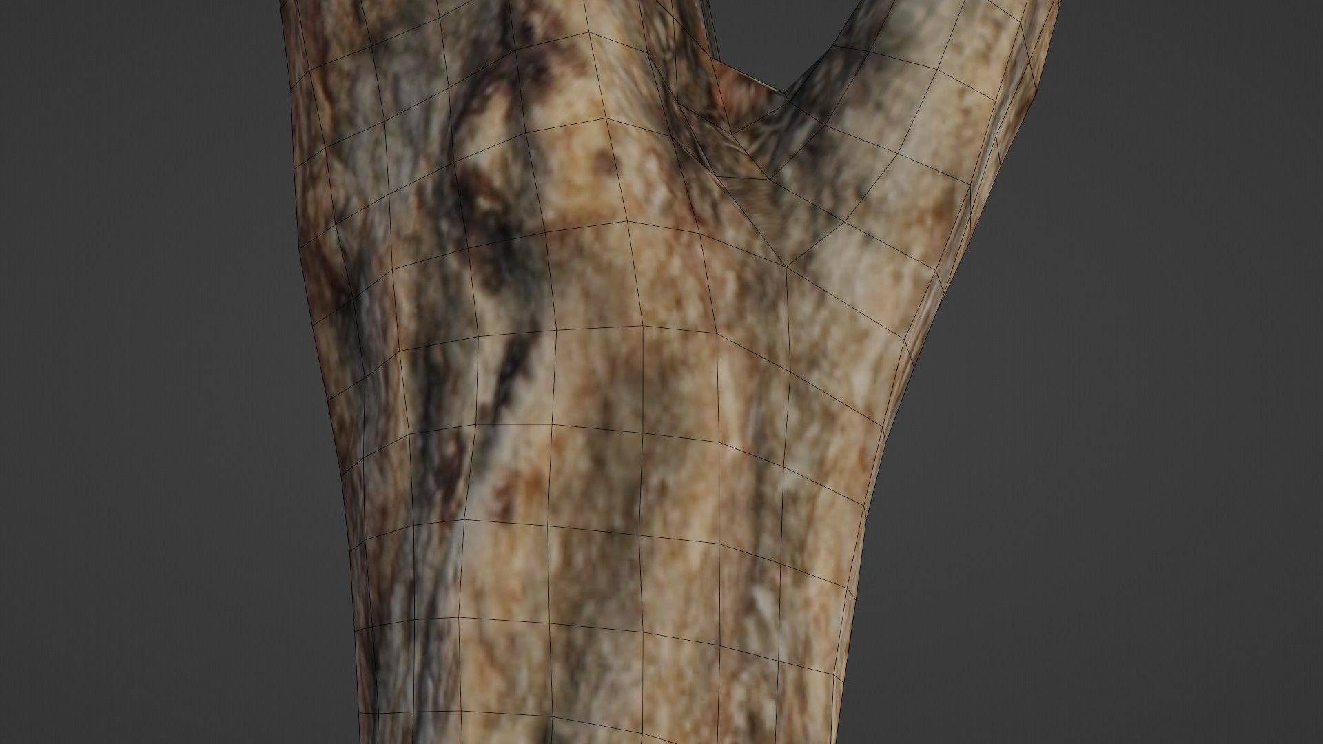 Tree trunk Low-poly 3D model_3