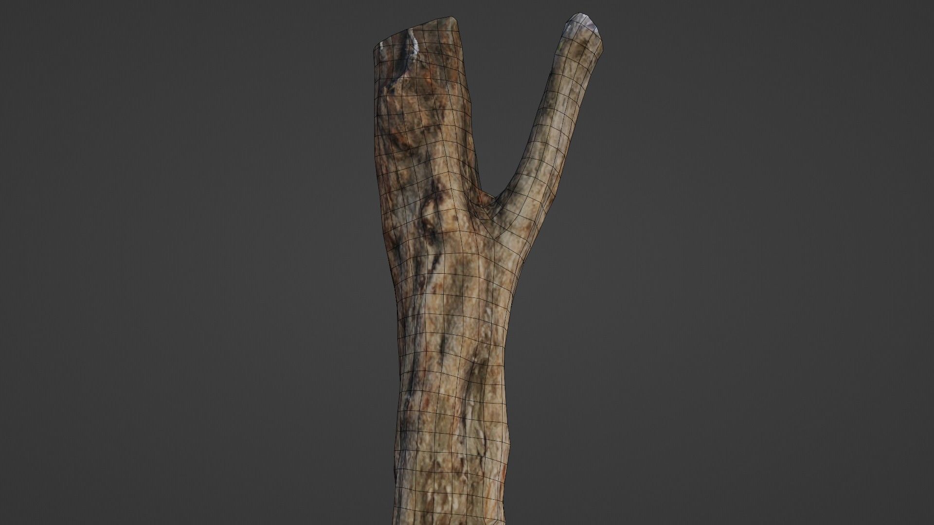 Tree trunk Low-poly 3D model_2