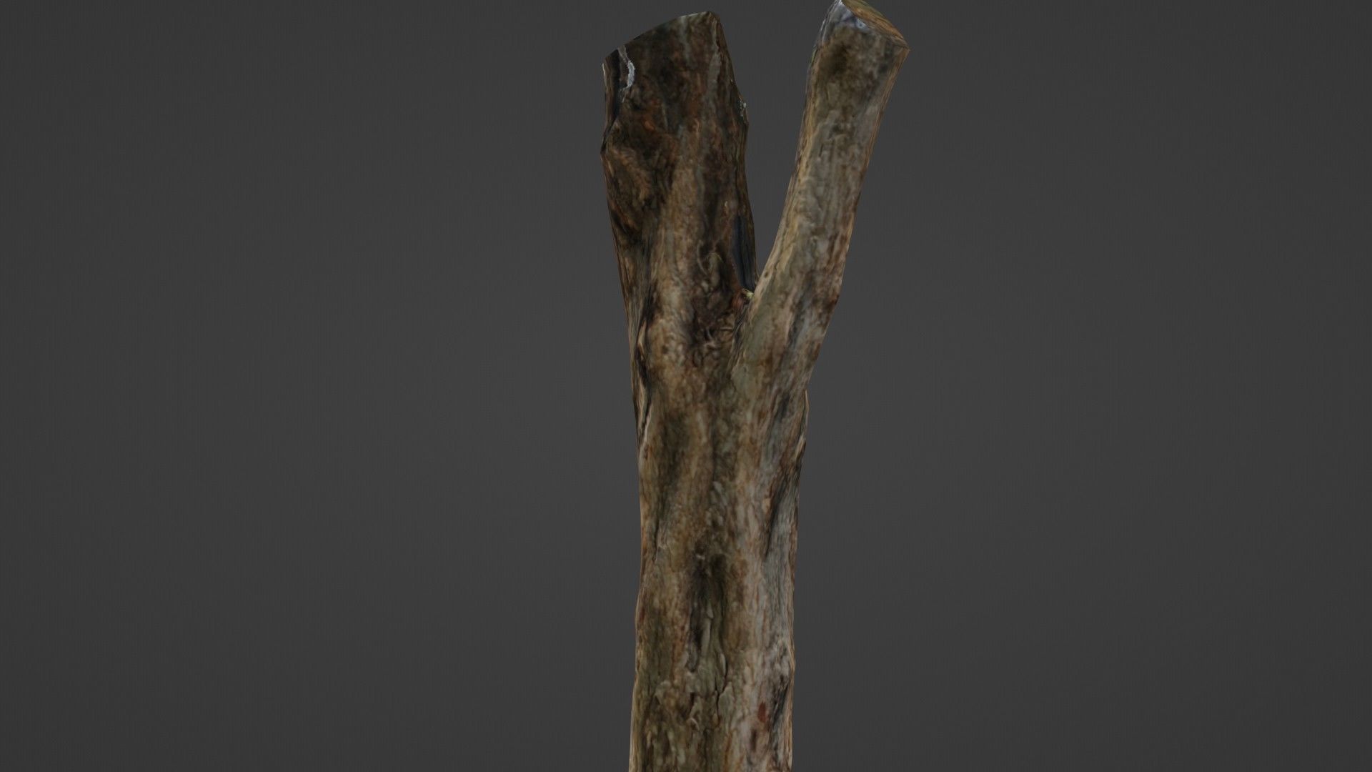 Tree trunk Low-poly 3D model_7