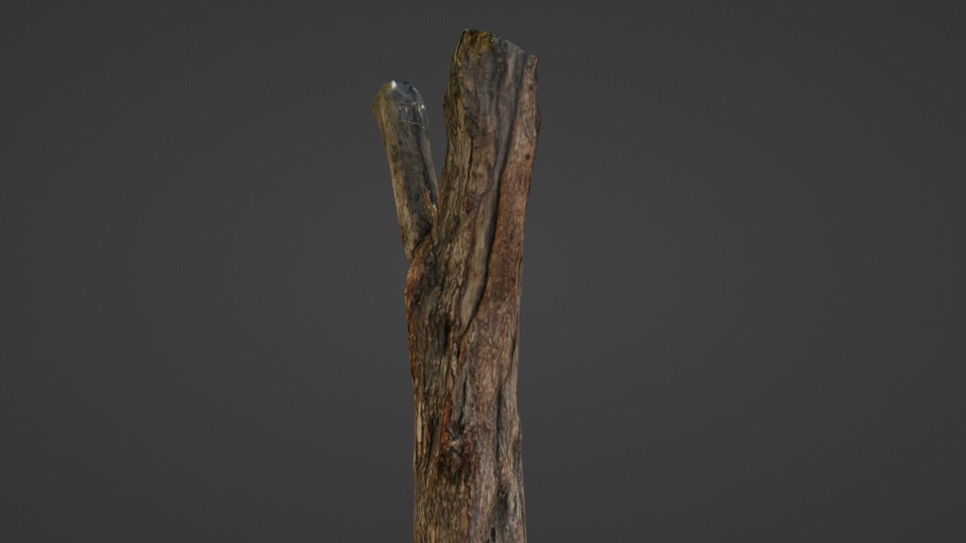 Tree trunk Low-poly 3D model_6