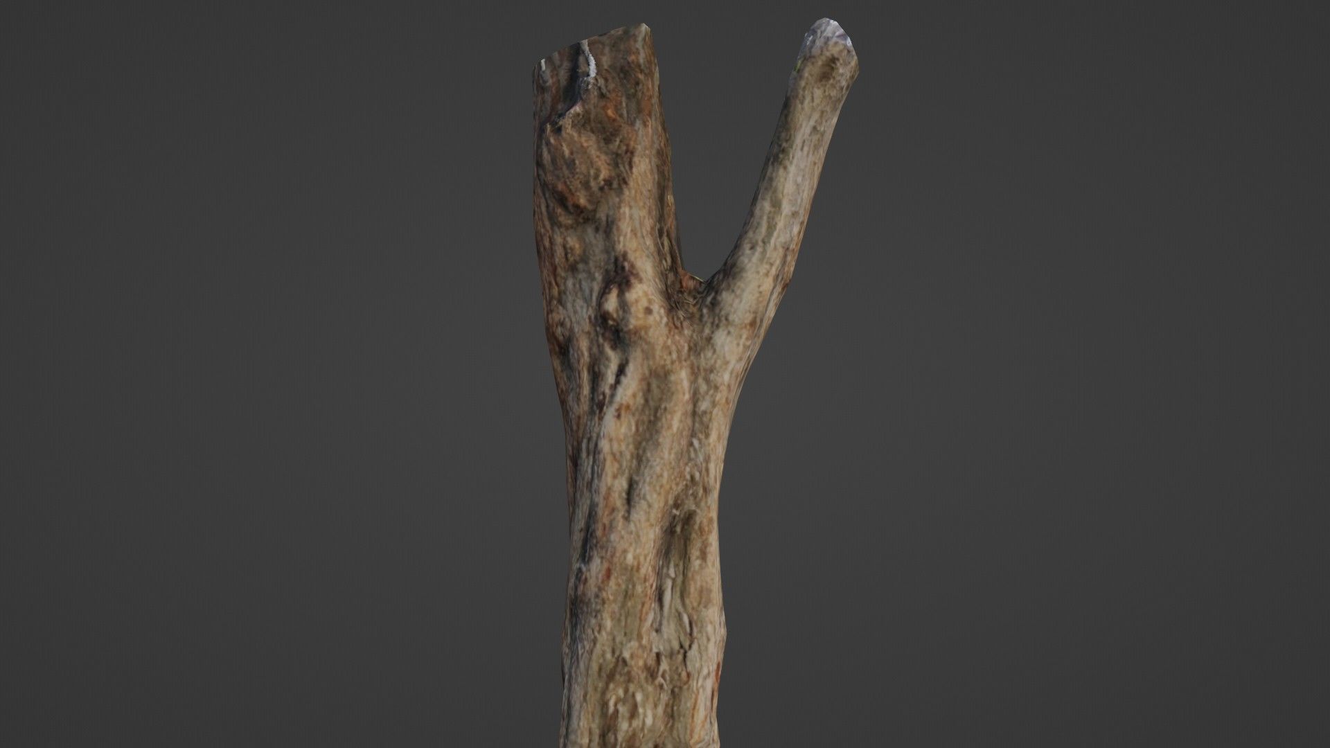 Tree trunk Low-poly 3D model_1