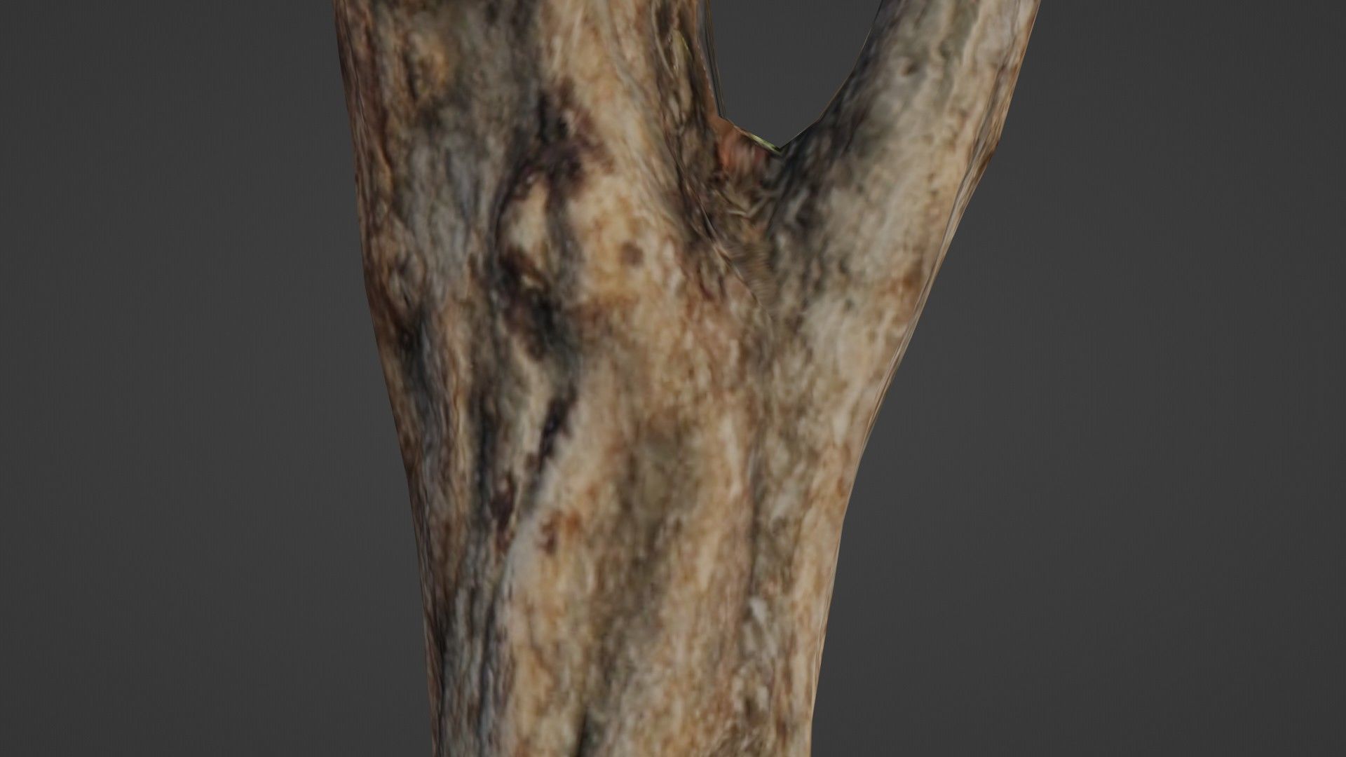 Tree trunk Low-poly 3D model_4