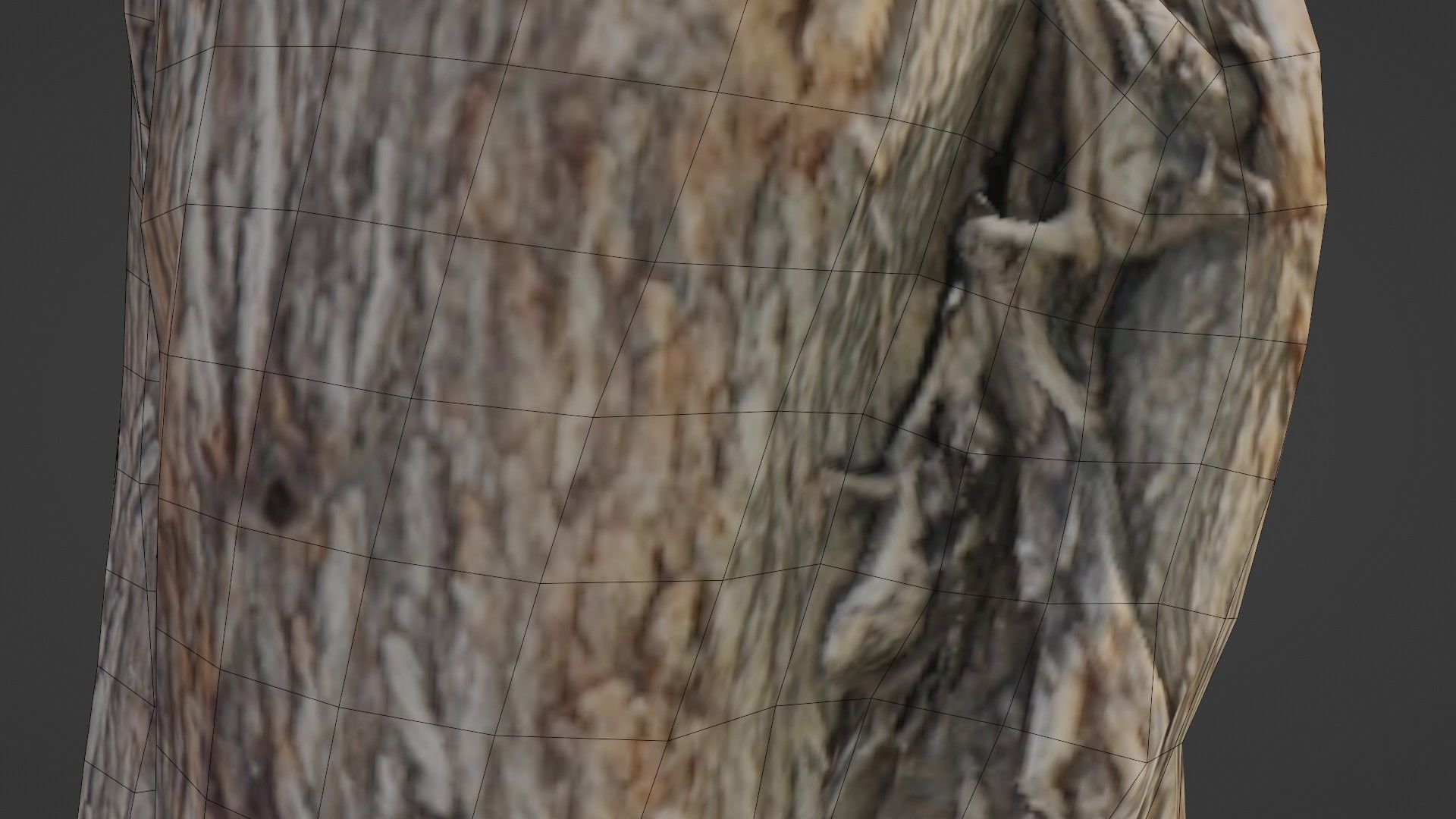 Scanned Log Low-poly 3D model_3