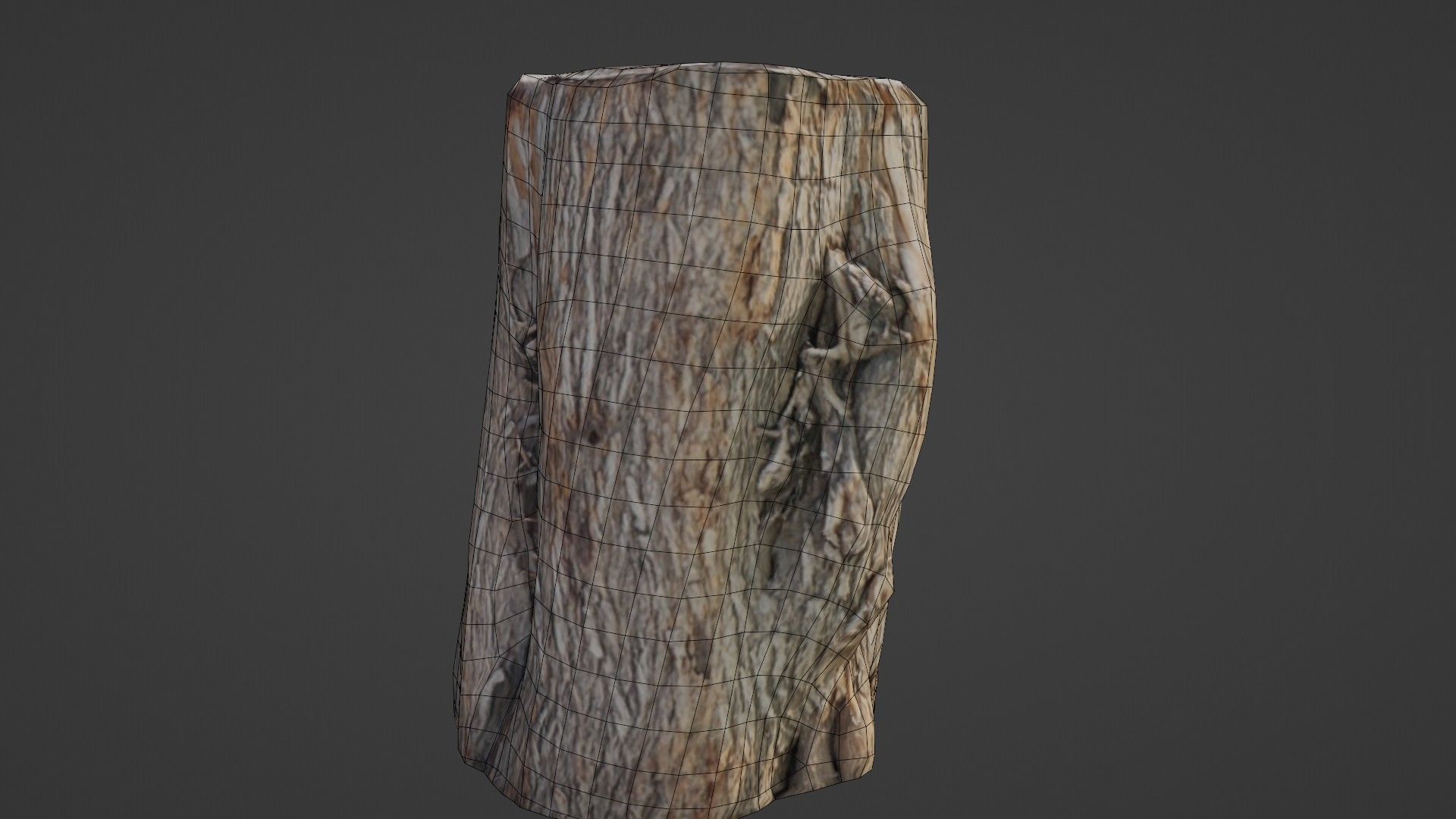 Scanned Log Low-poly 3D model_2