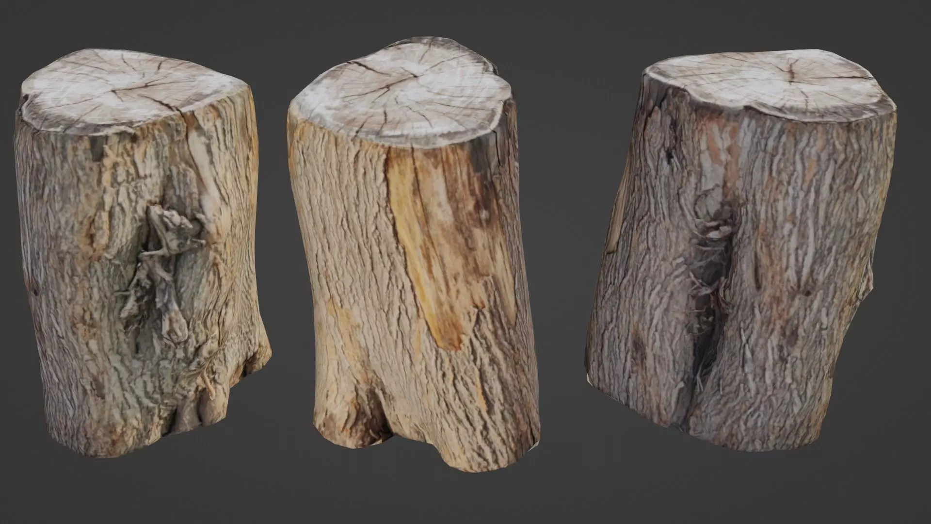 Scanned Log Low-poly 3D model_0