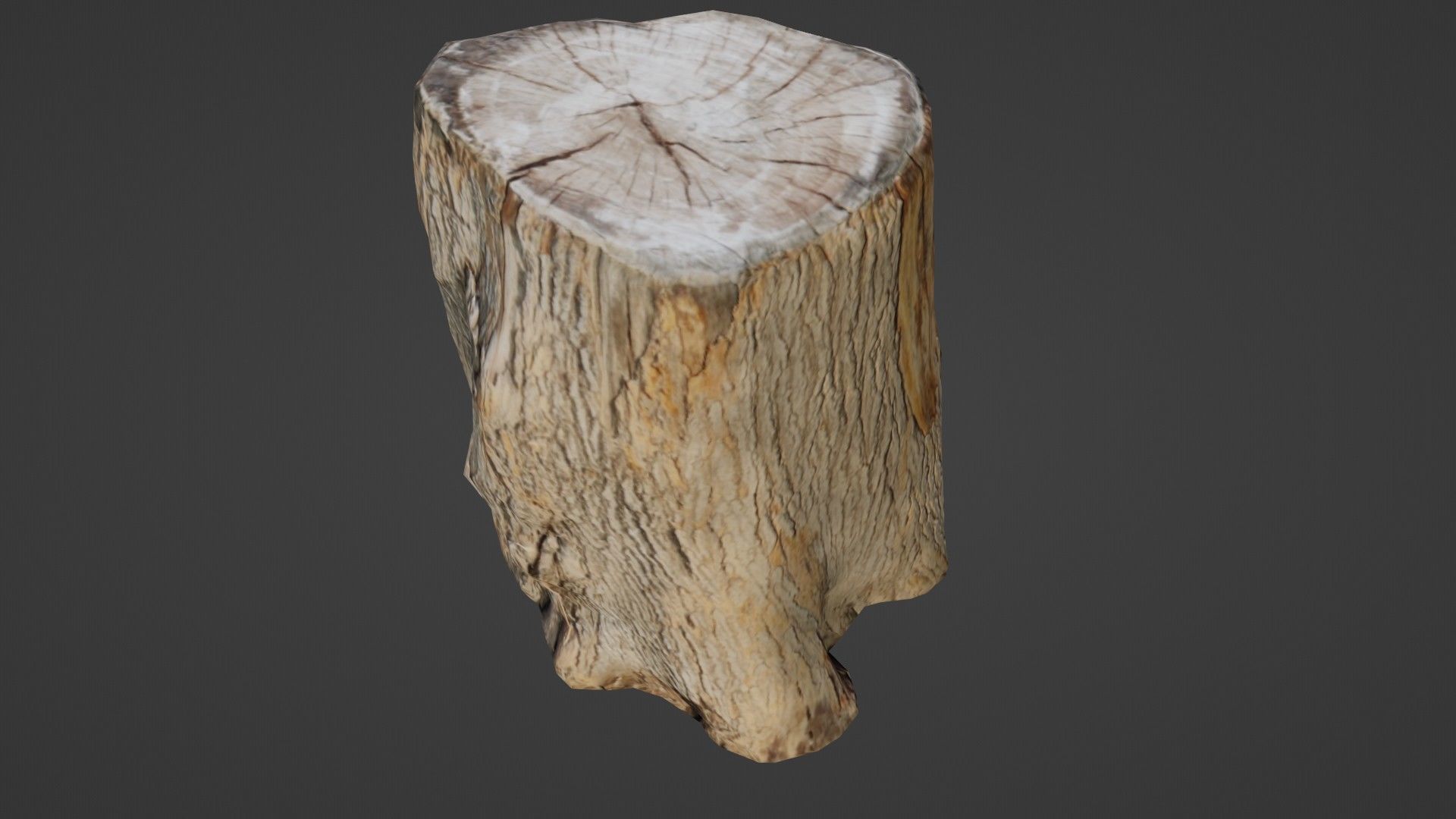 Scanned Log Low-poly 3D model_7