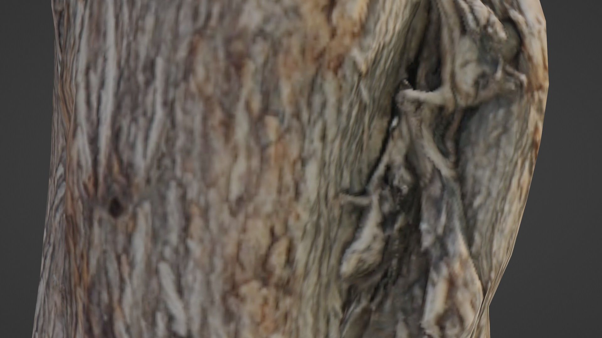 Scanned Log Low-poly 3D model_4