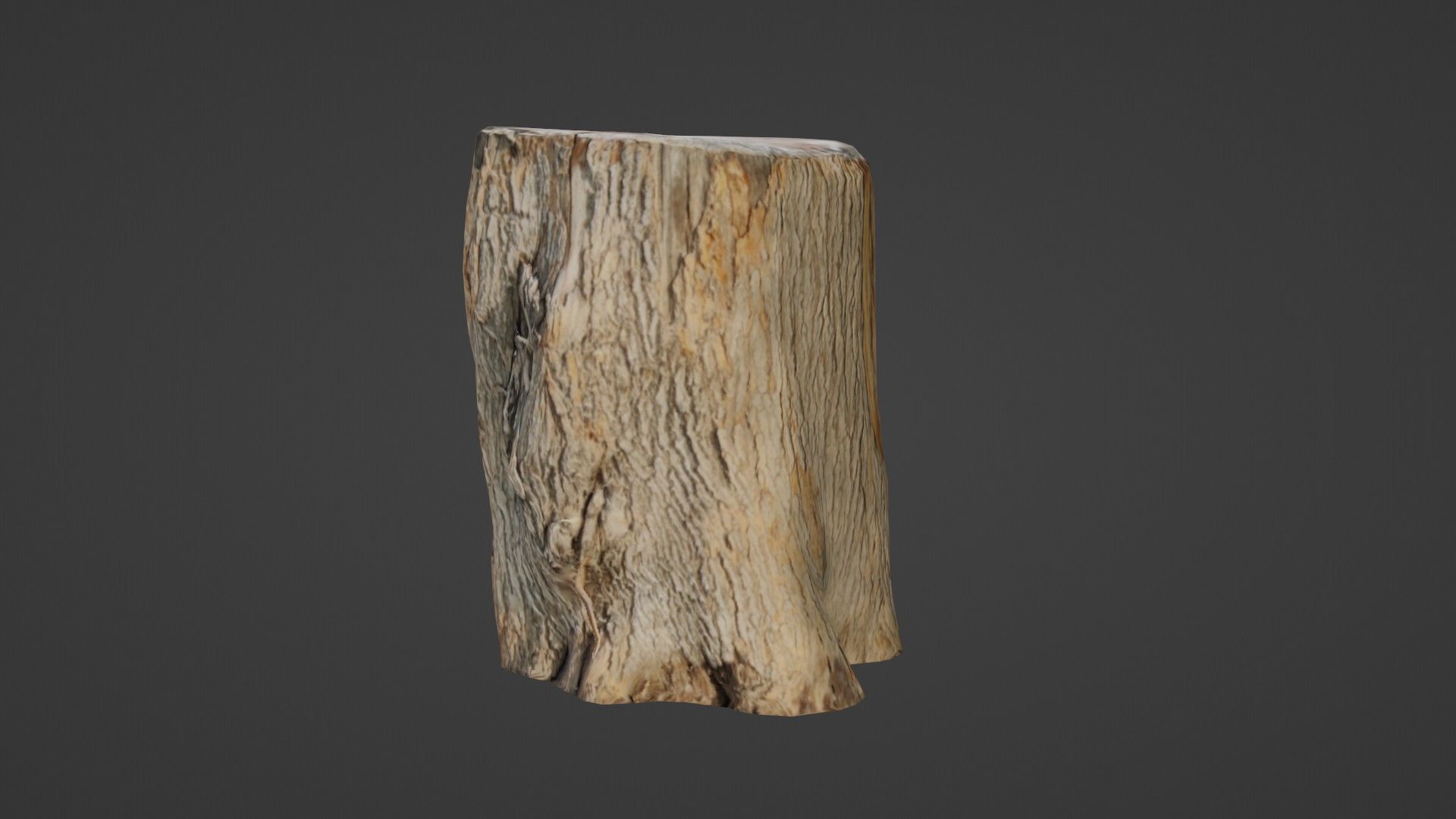 Scanned Log Low-poly 3D model_5