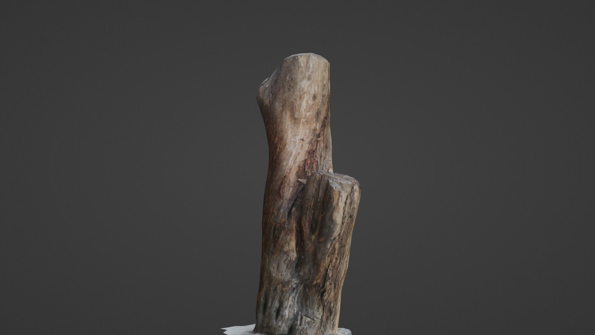 Scanned Trunk Low-poly 3D model_5