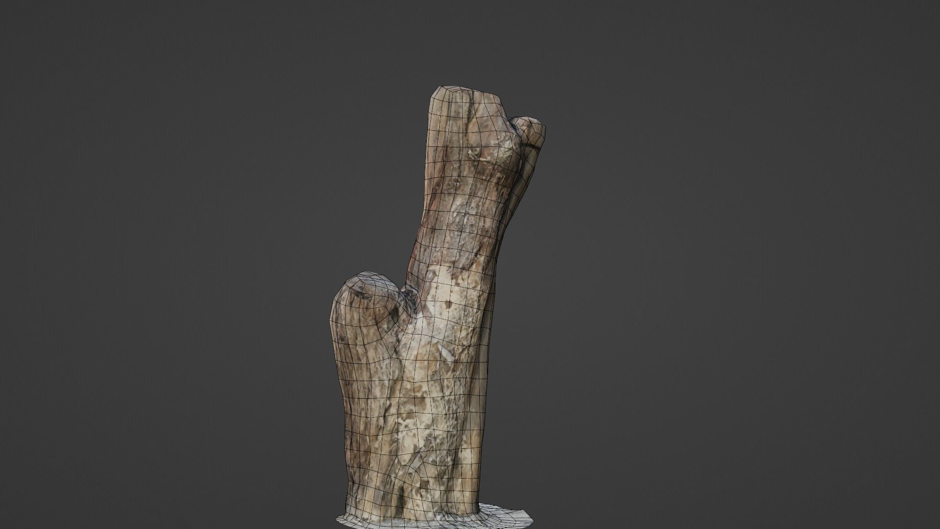 Scanned Trunk Low-poly 3D model_2