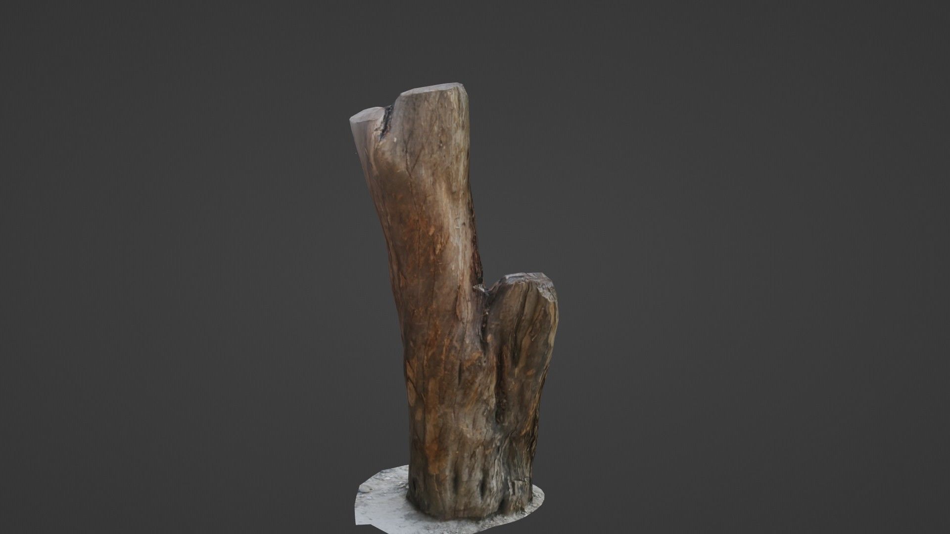 Scanned Trunk Low-poly 3D model_7
