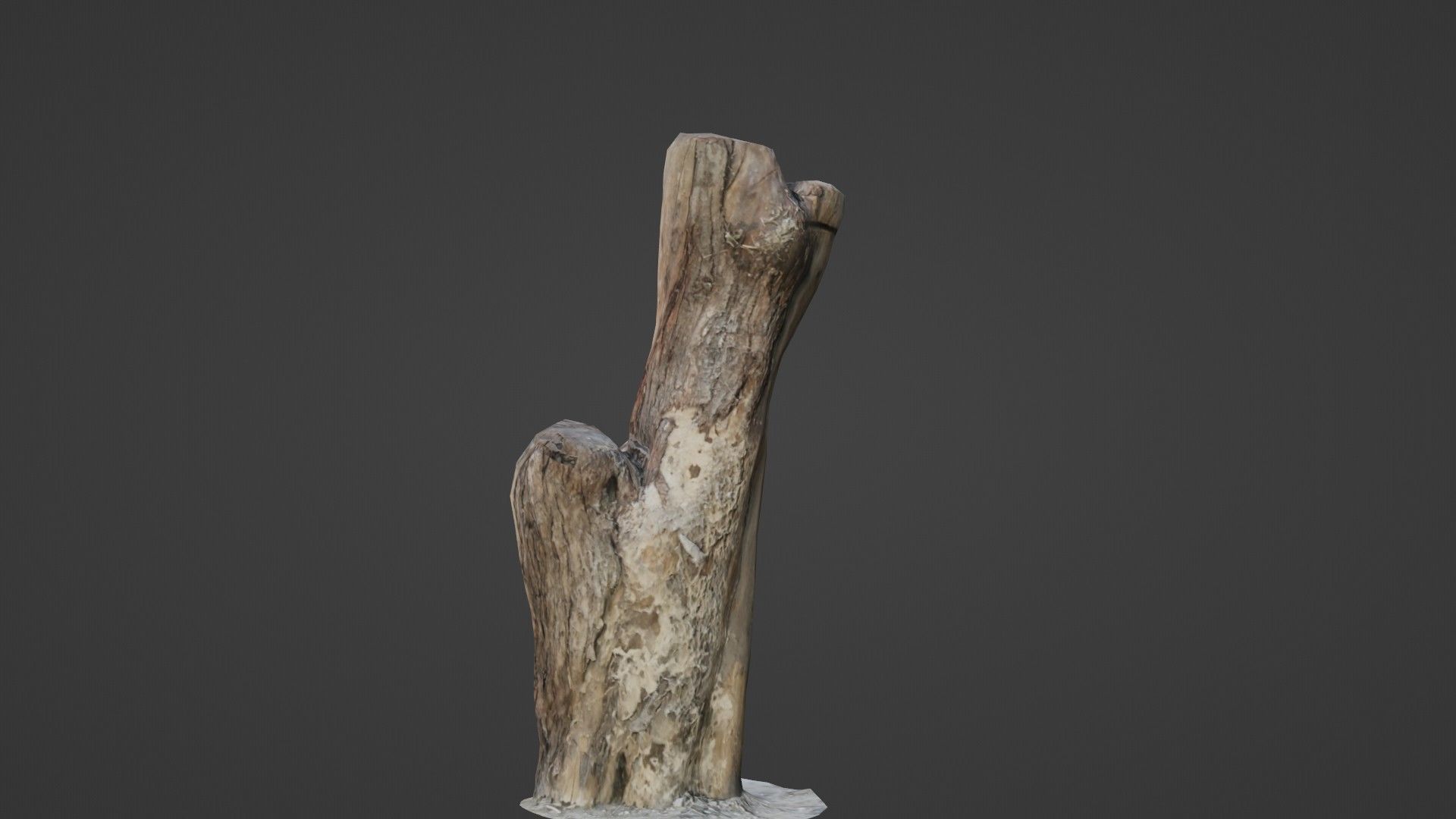 Scanned Trunk Low-poly 3D model_1