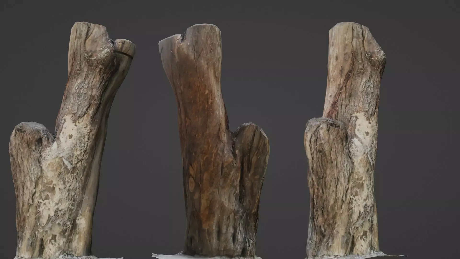 Scanned Trunk Low-poly 3D model_0