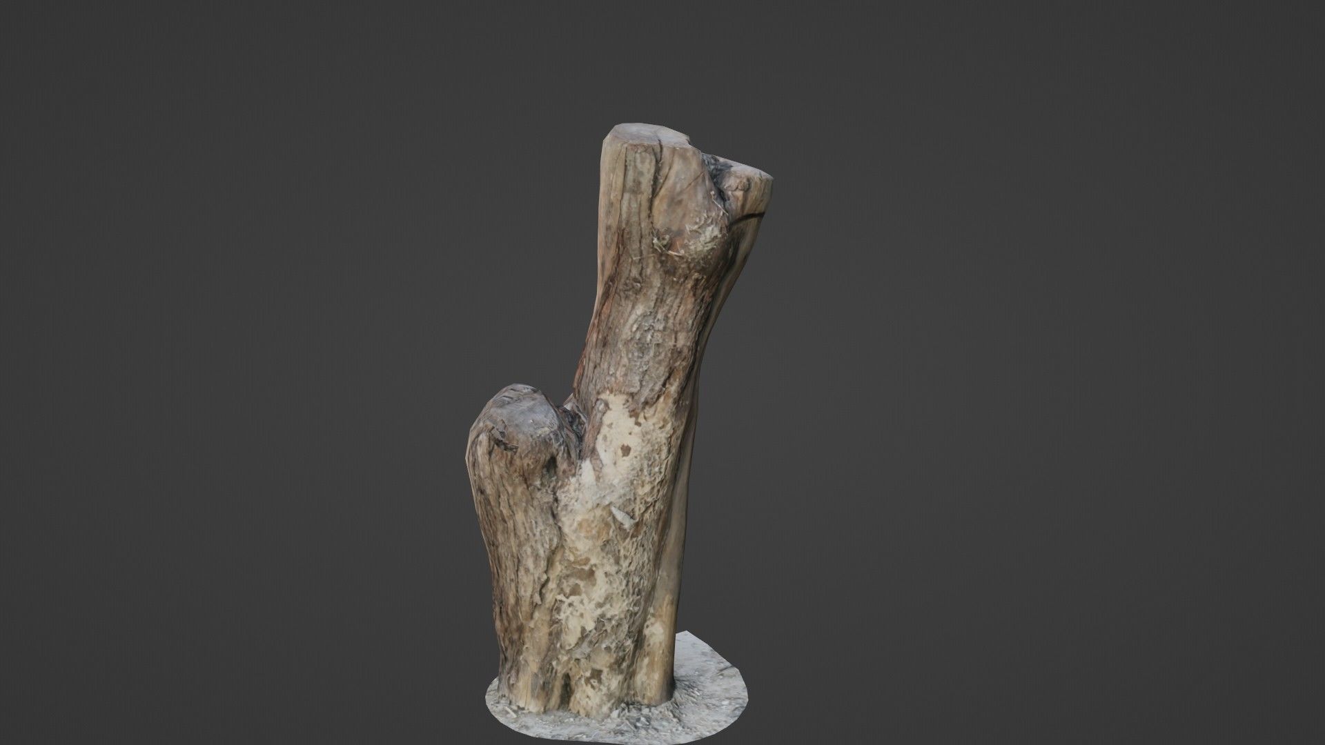 Scanned Trunk Low-poly 3D model_6
