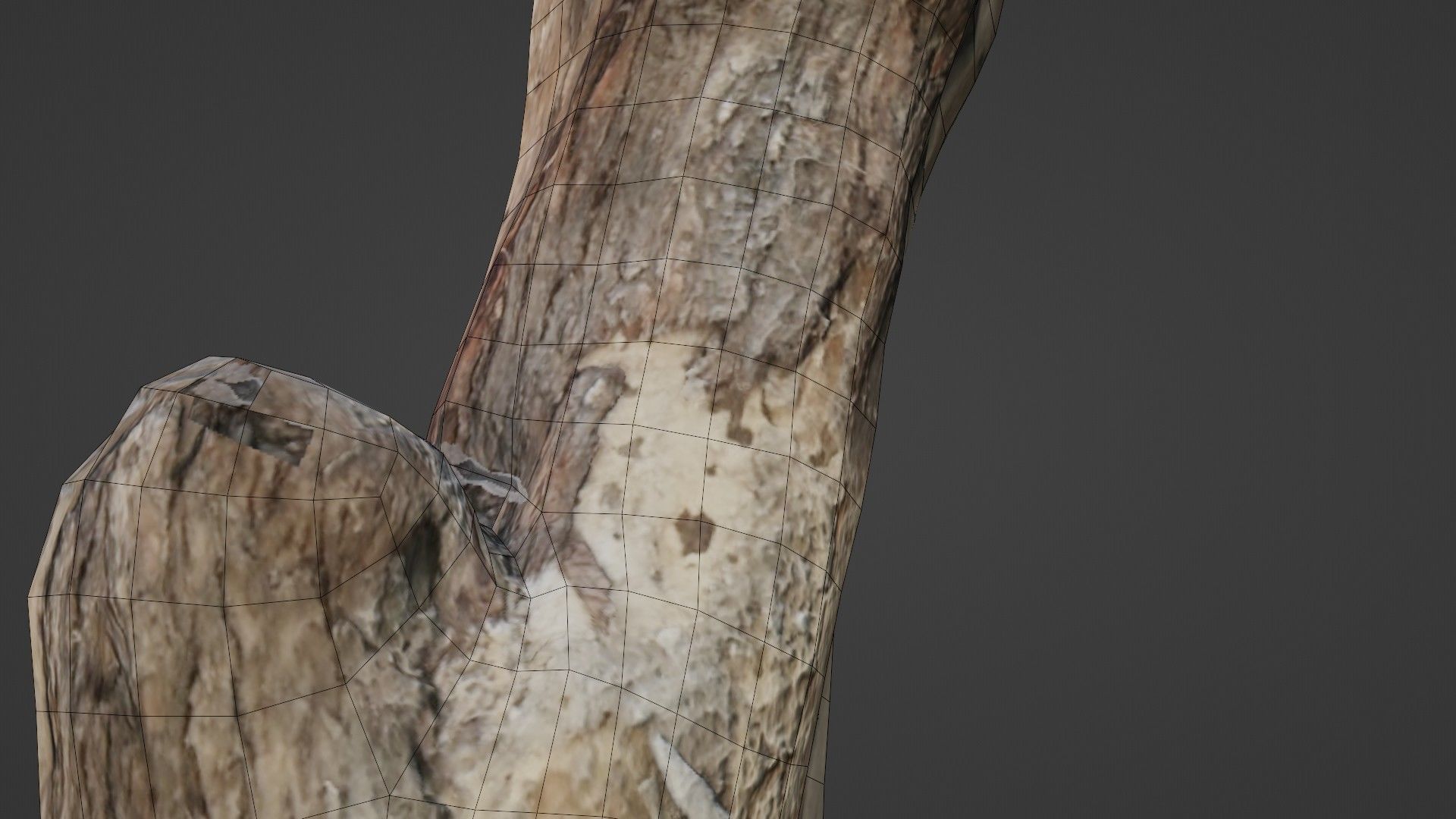 Scanned Trunk Low-poly 3D model_3