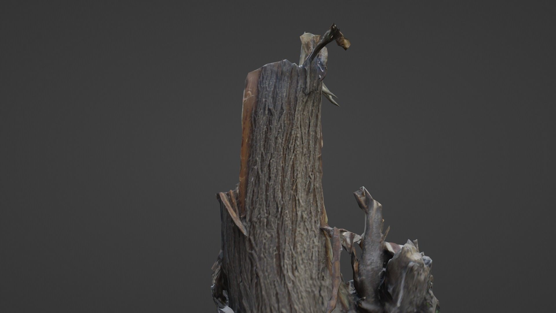 Cutted tree trunk Low-poly 3D model_5
