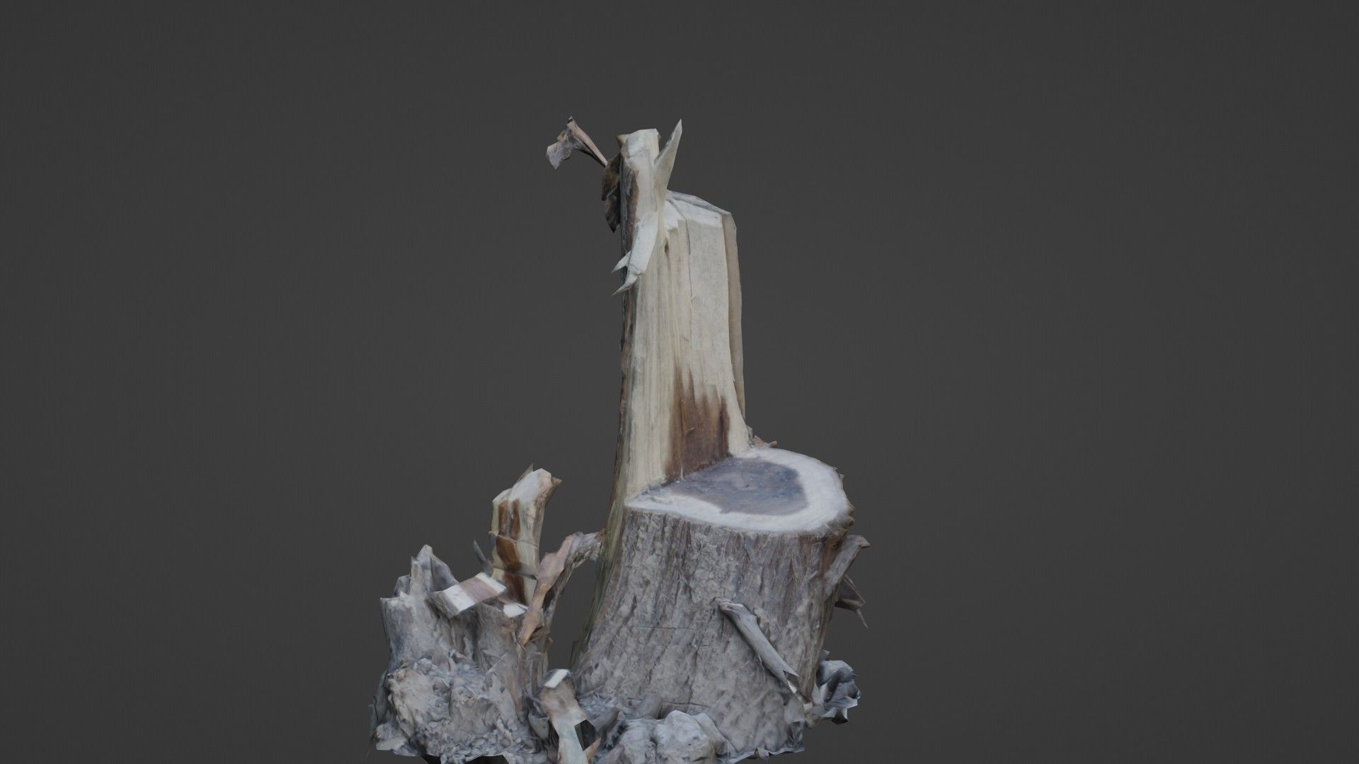 Cutted tree trunk Low-poly 3D model_1