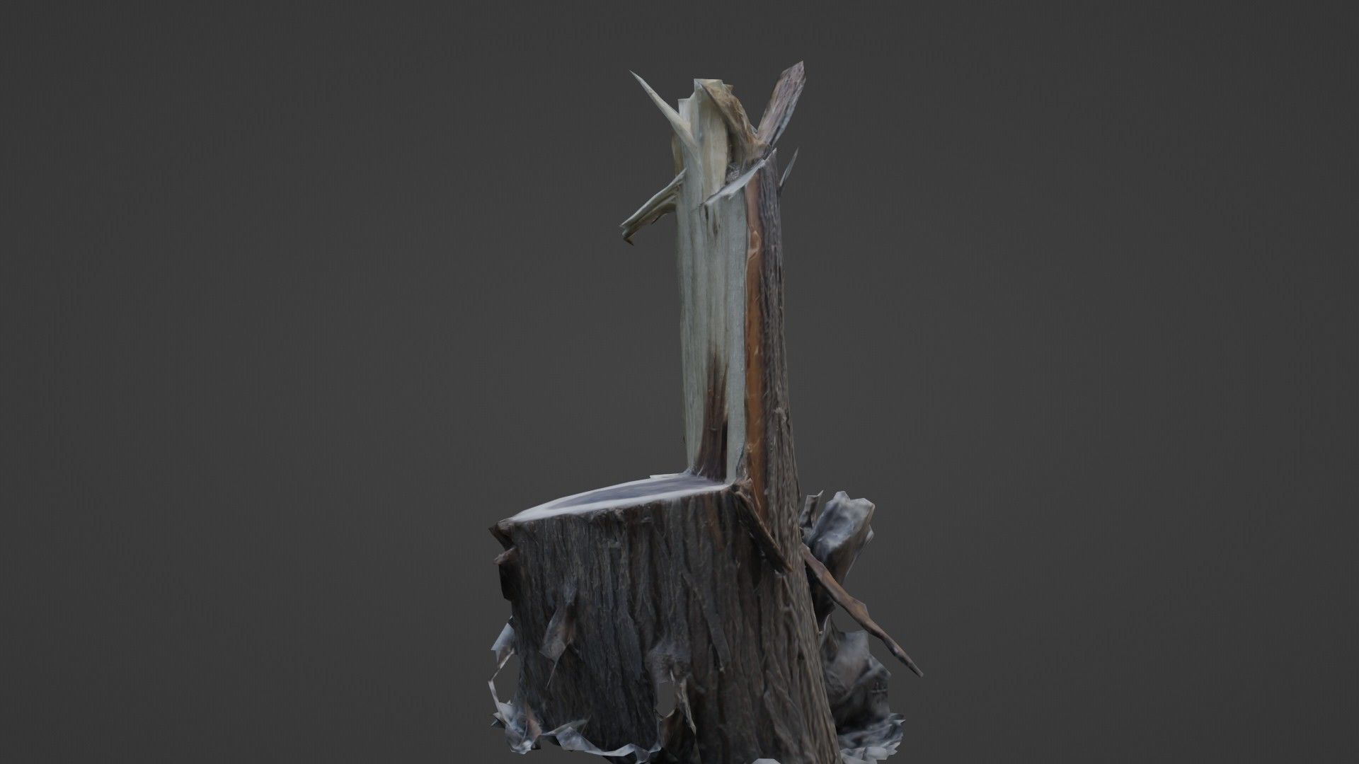 Cutted tree trunk Low-poly 3D model_6