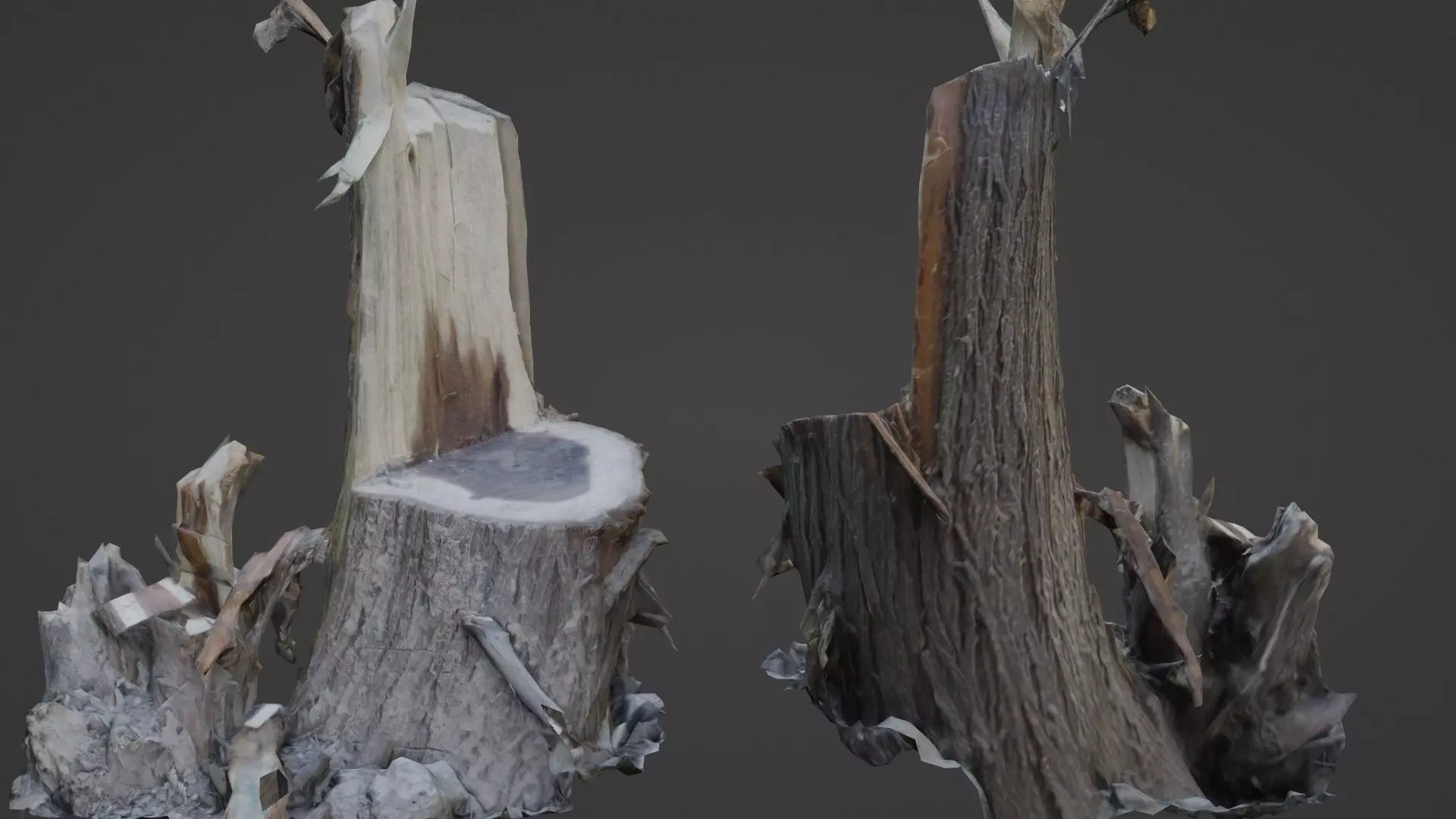 Cutted tree trunk Low-poly 3D model_0