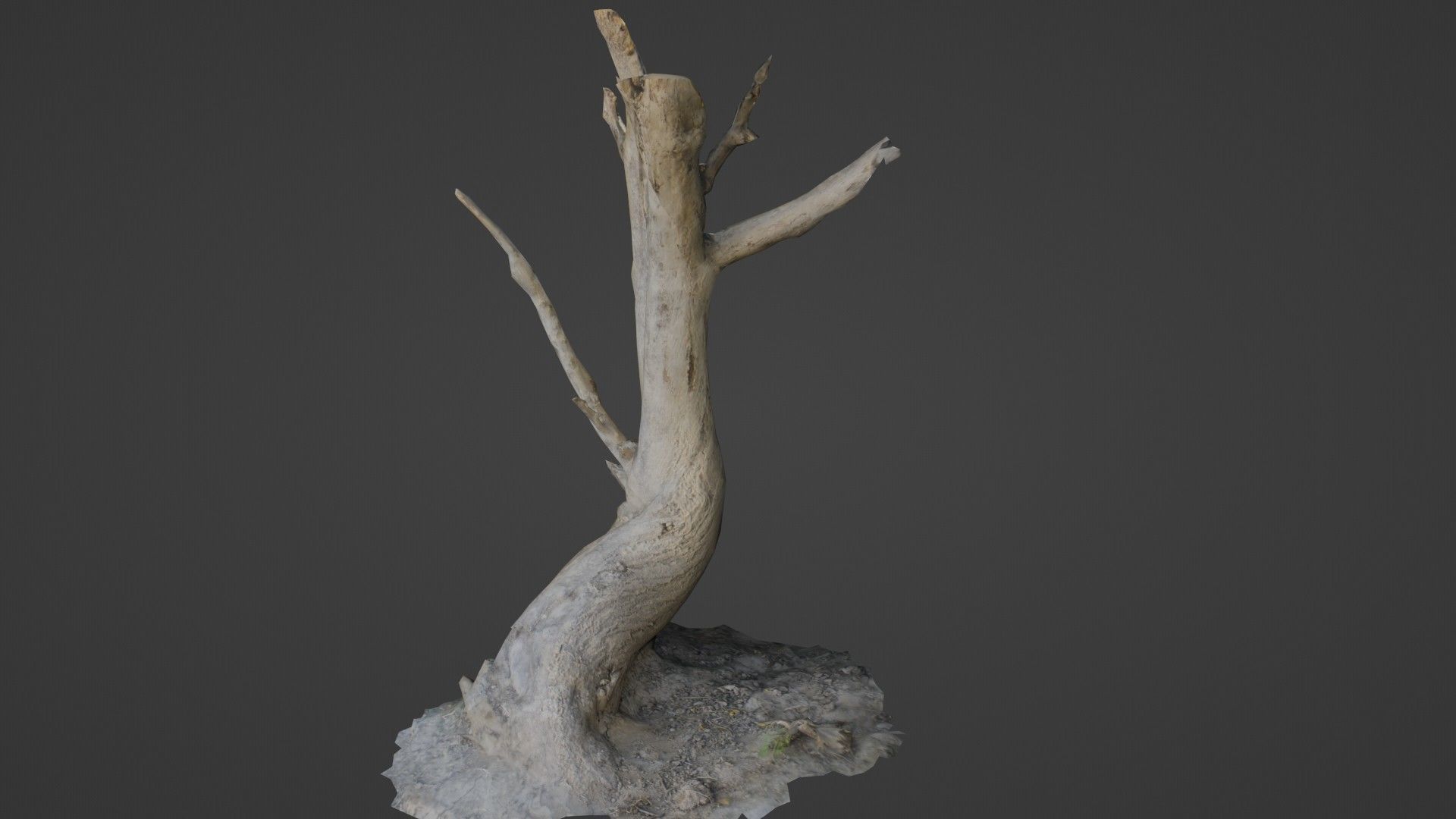 Tilted tree trunk Low-poly 3D model_1