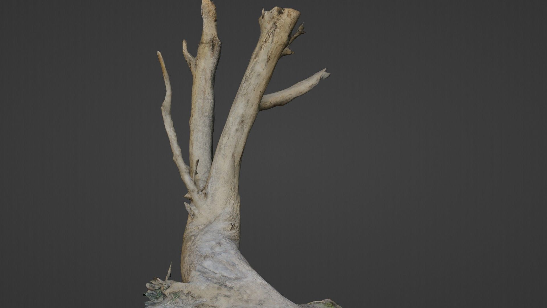 Tilted tree trunk Low-poly 3D model_7