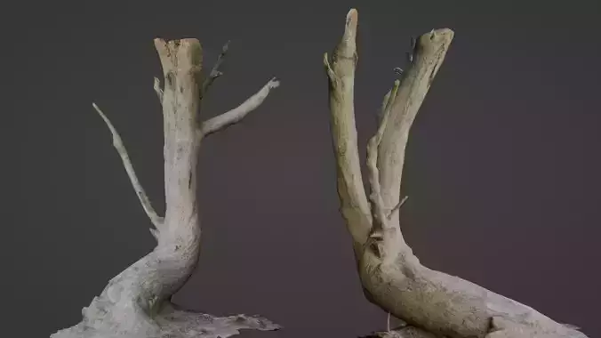 Tilted tree trunk Low-poly 3D model