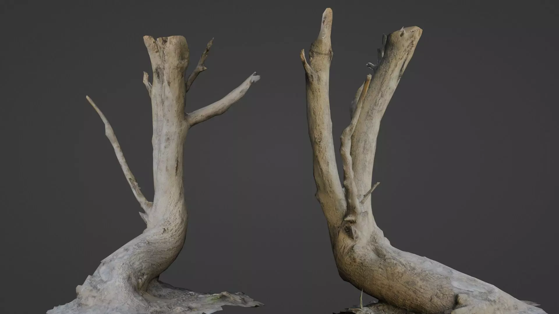 Tilted tree trunk Low-poly 3D model_0