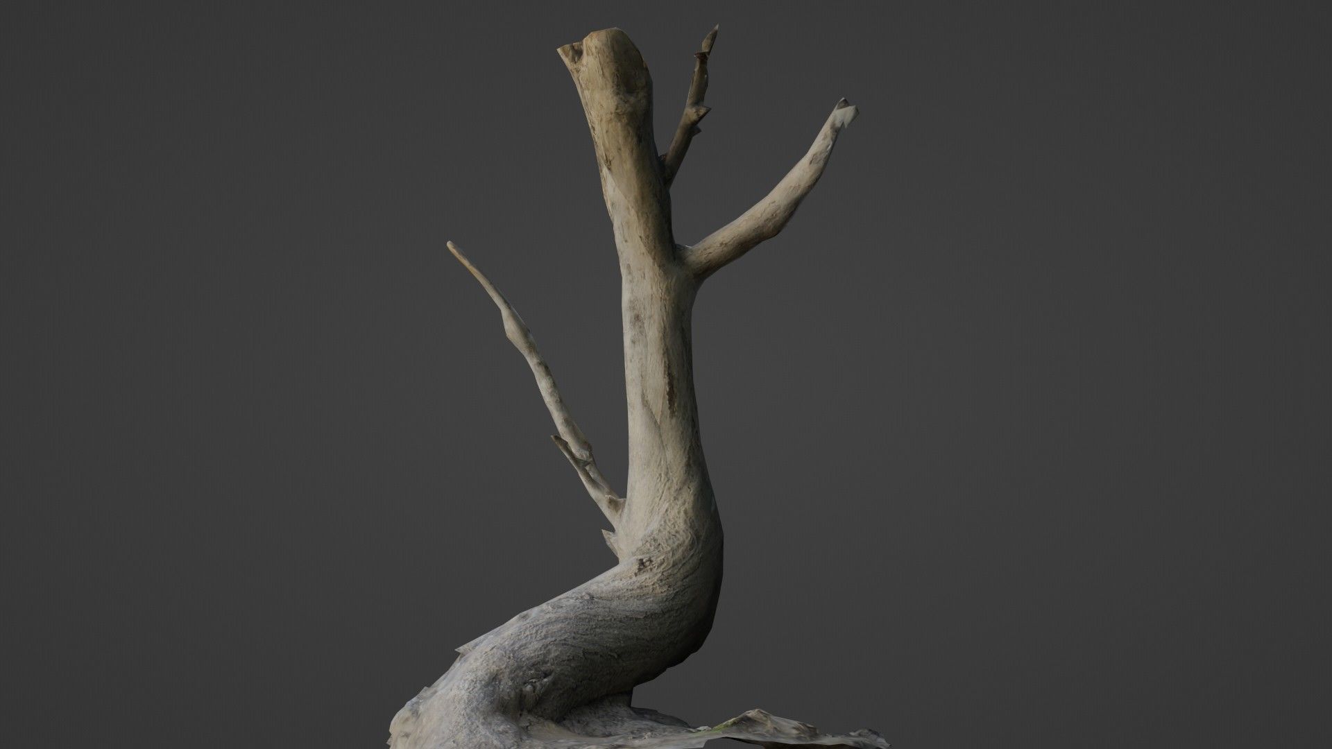 Tilted tree trunk Low-poly 3D model_6