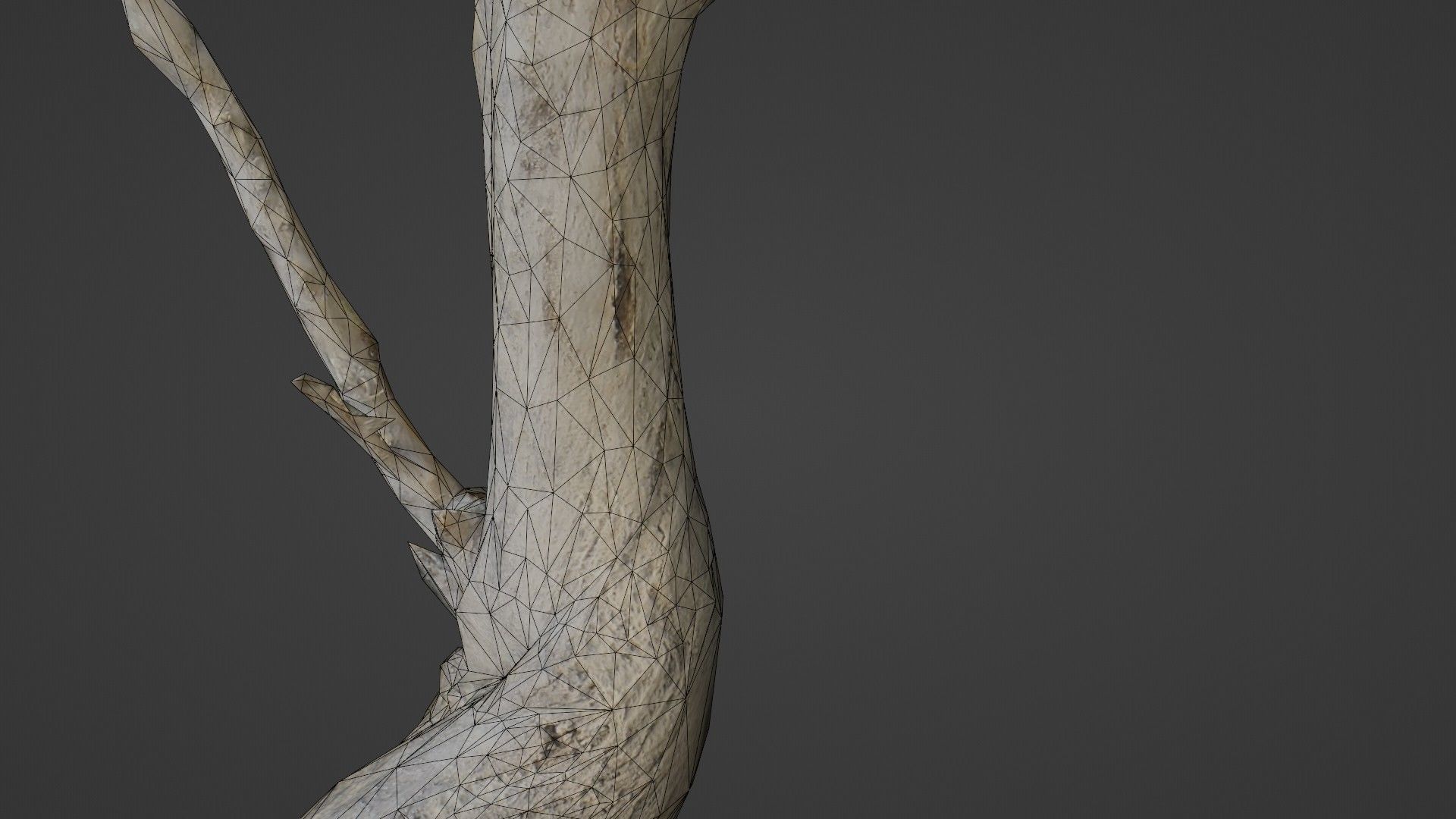 Tilted tree trunk Low-poly 3D model_3