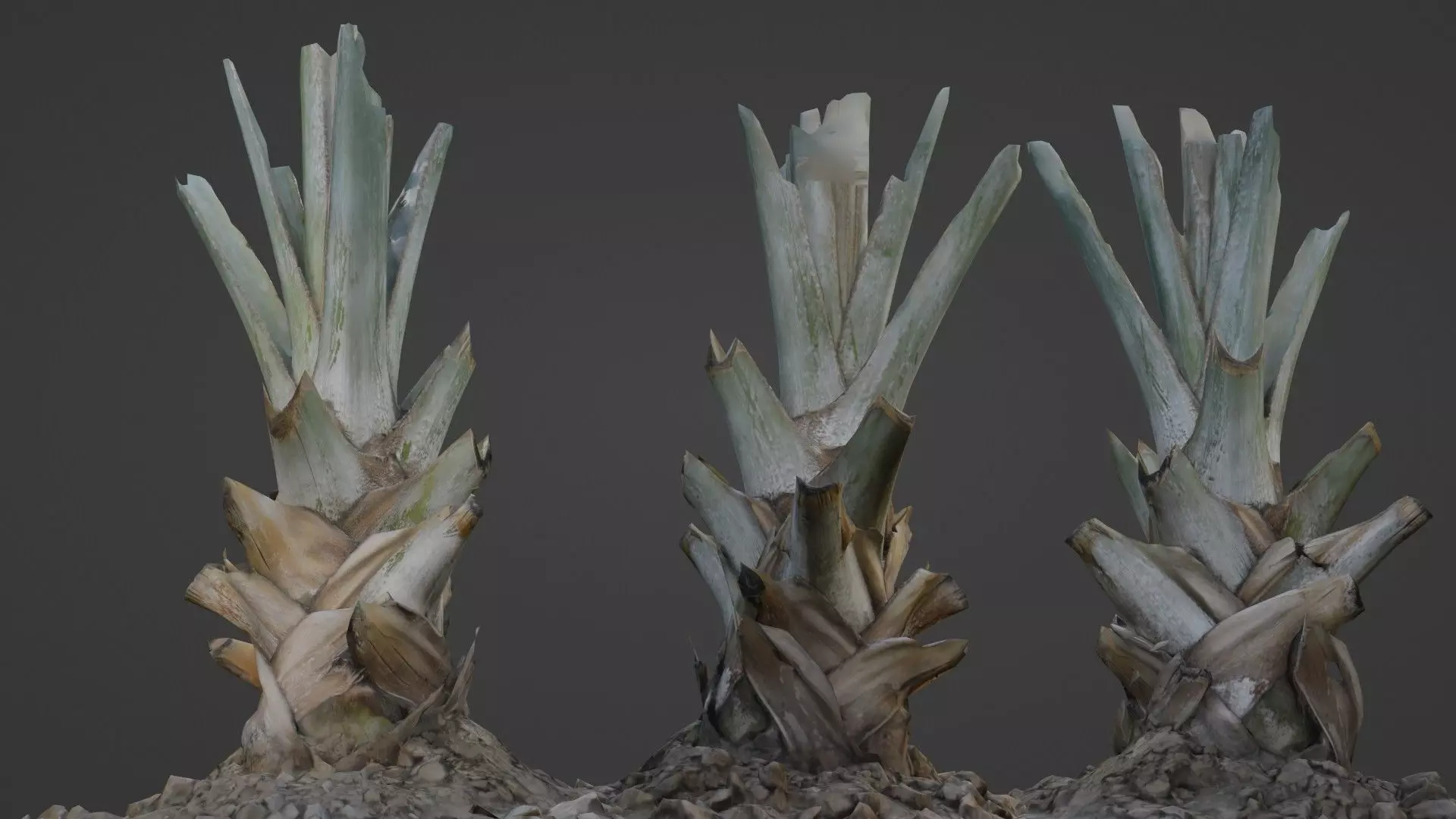 Tree Stem Low-poly 3D model