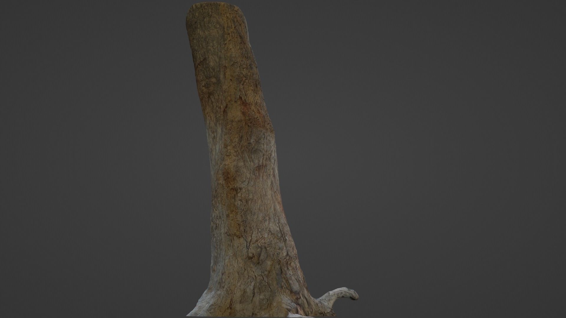 Tree Trunk Low-poly 3D model_1
