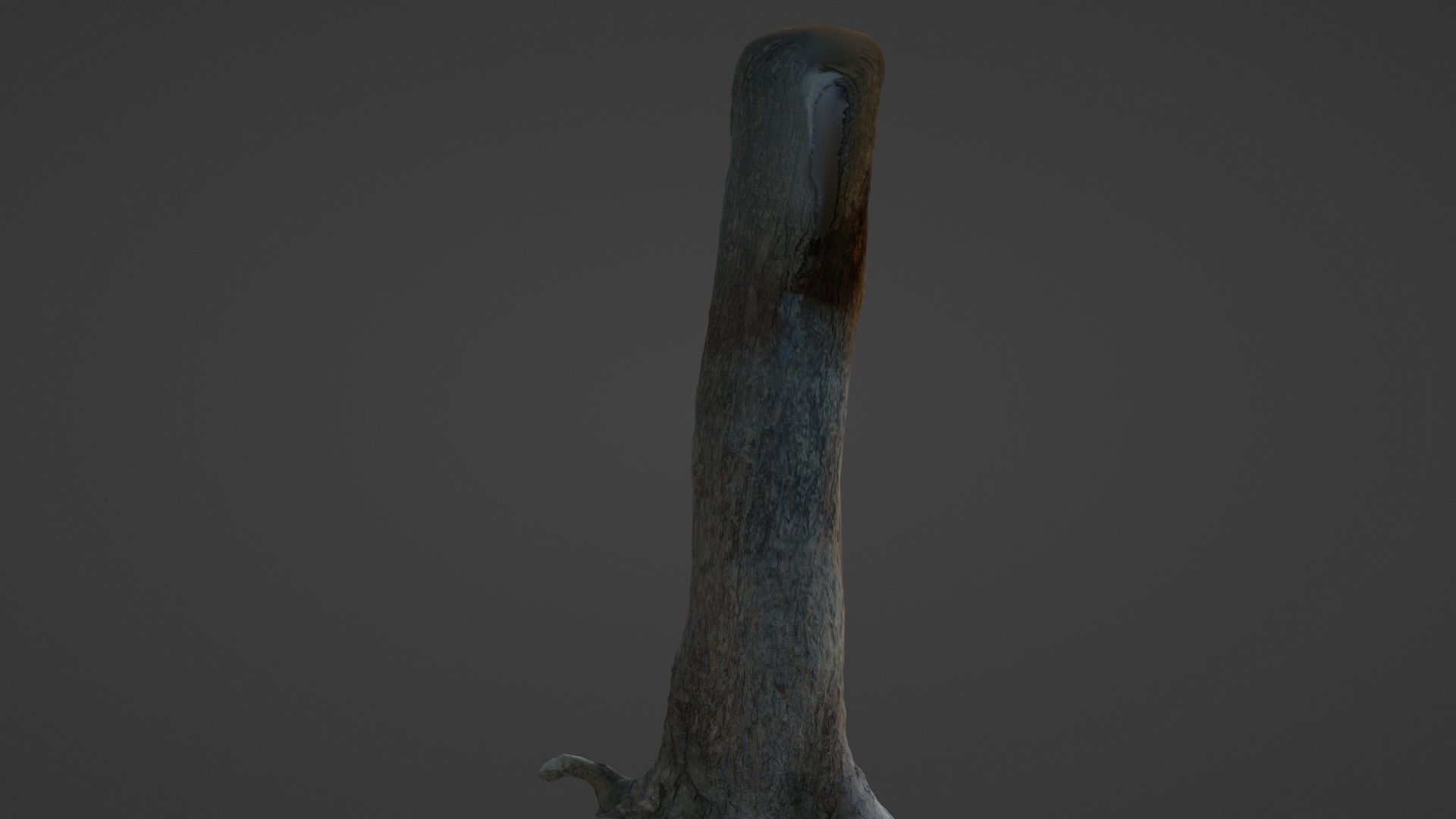 Tree Trunk Low-poly 3D model_5