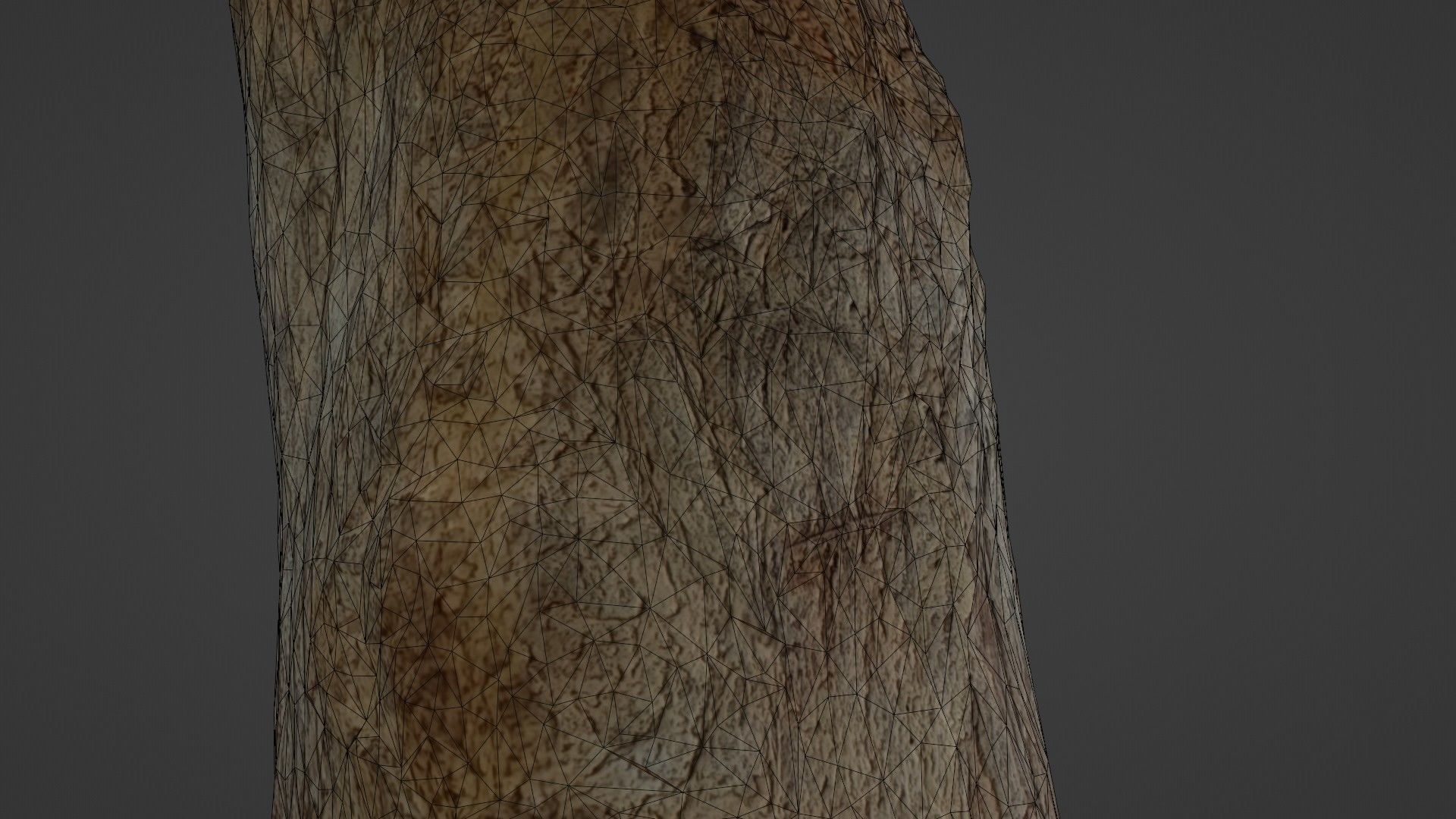 Tree Trunk Low-poly 3D model_3