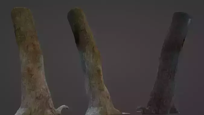 Tree Trunk Low-poly 3D model